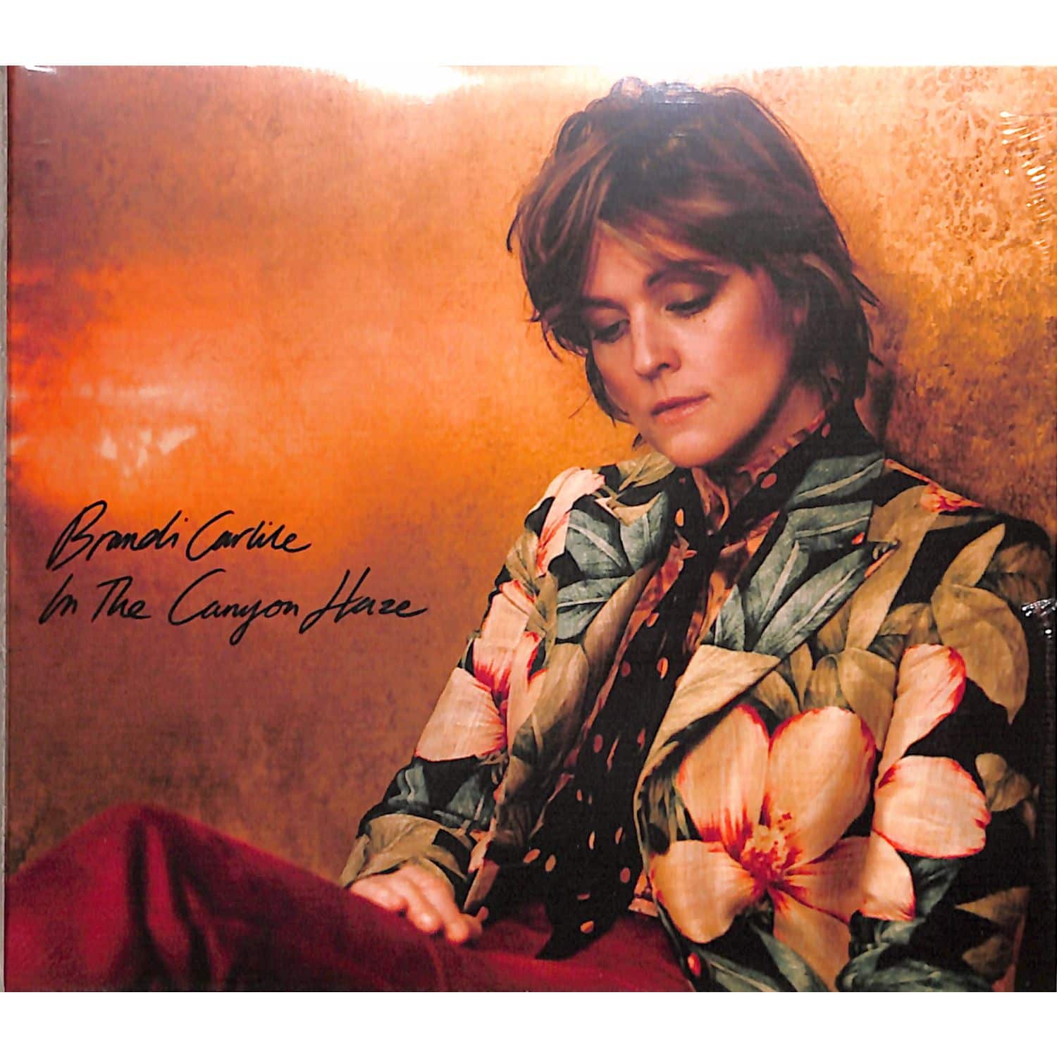 Brandi Carlile - IN THESE SILENT DAYS 