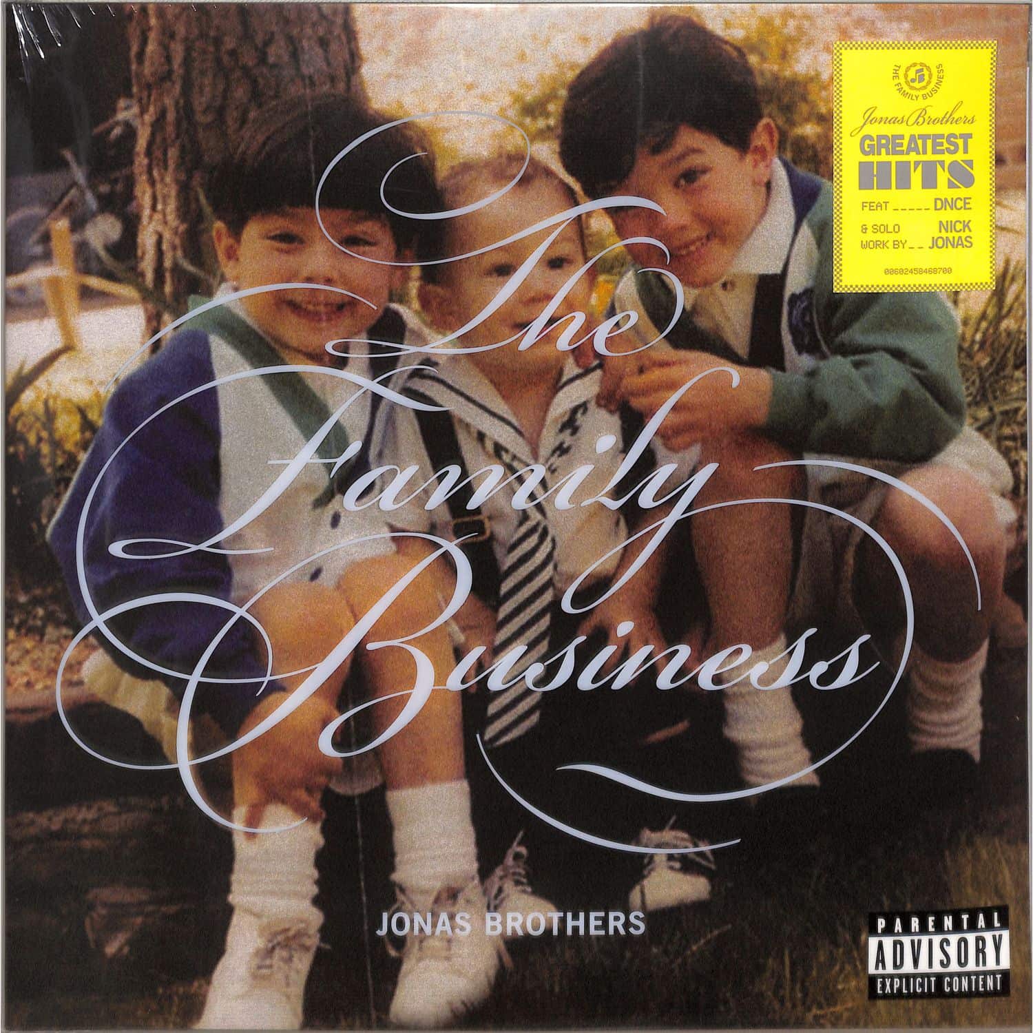 Jonas Brothers - THE FAMILY BUSINESS 