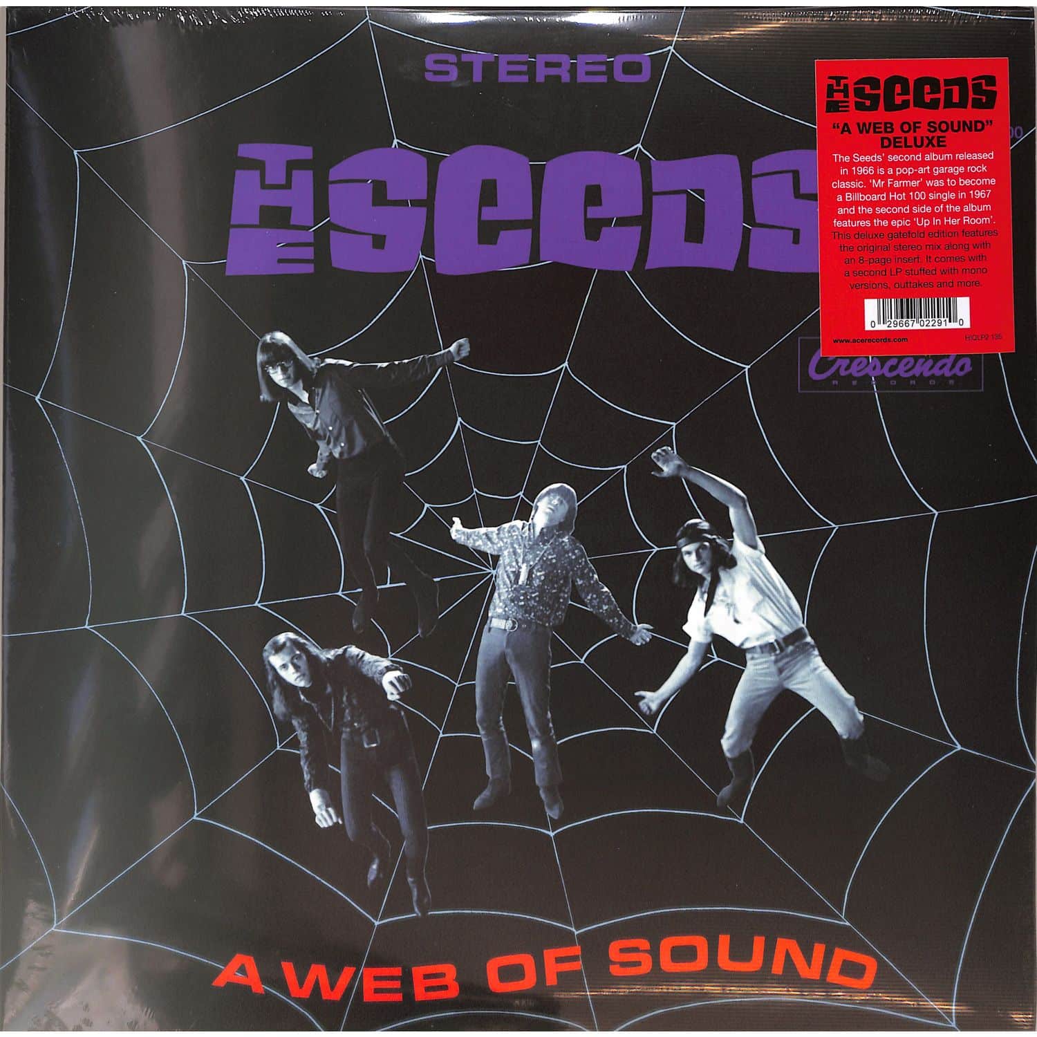 The Seeds - A WEB OF SOUND 