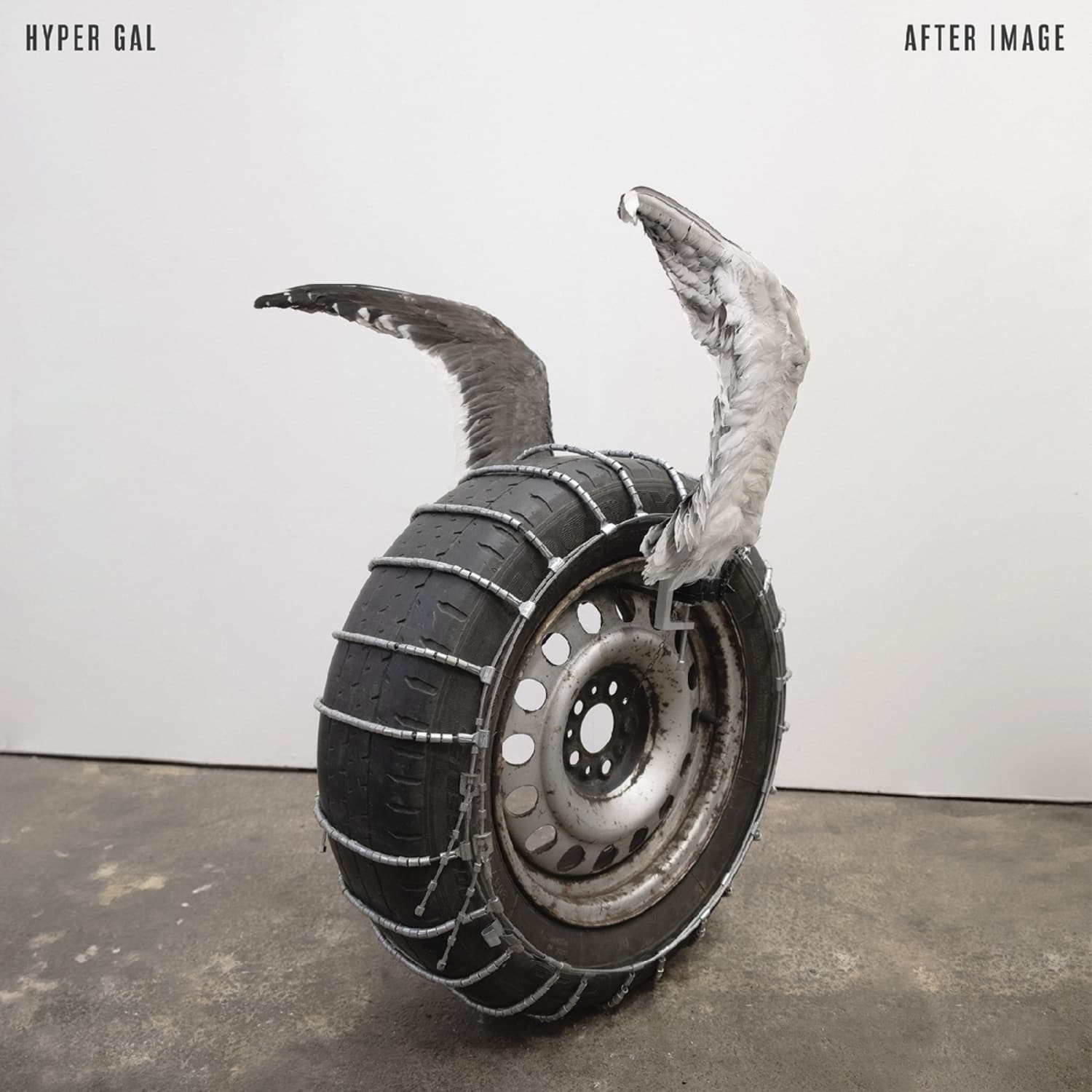 Hyper Gal - AFTER IMAGE 