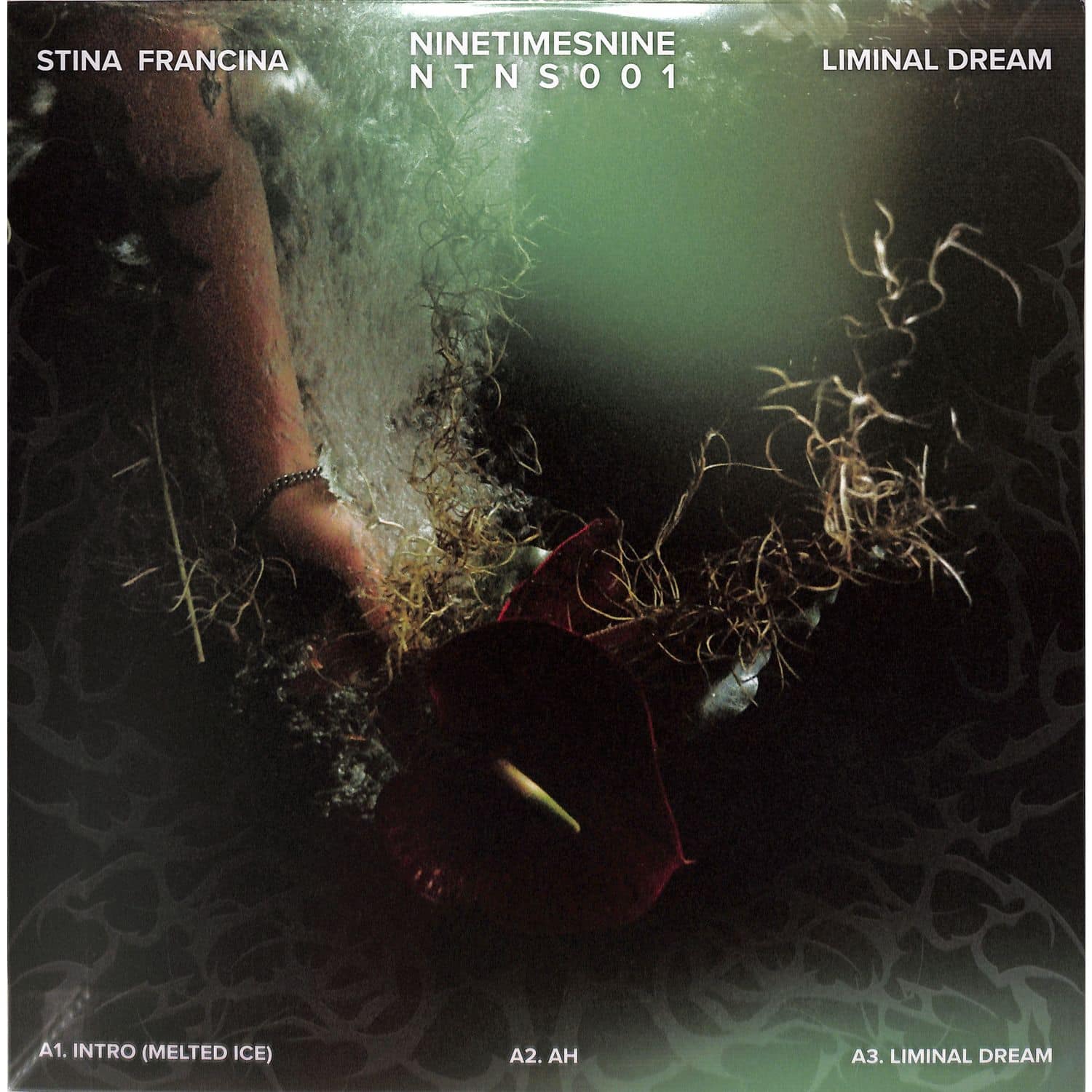 Stina Francina - LIMINAL DREAM