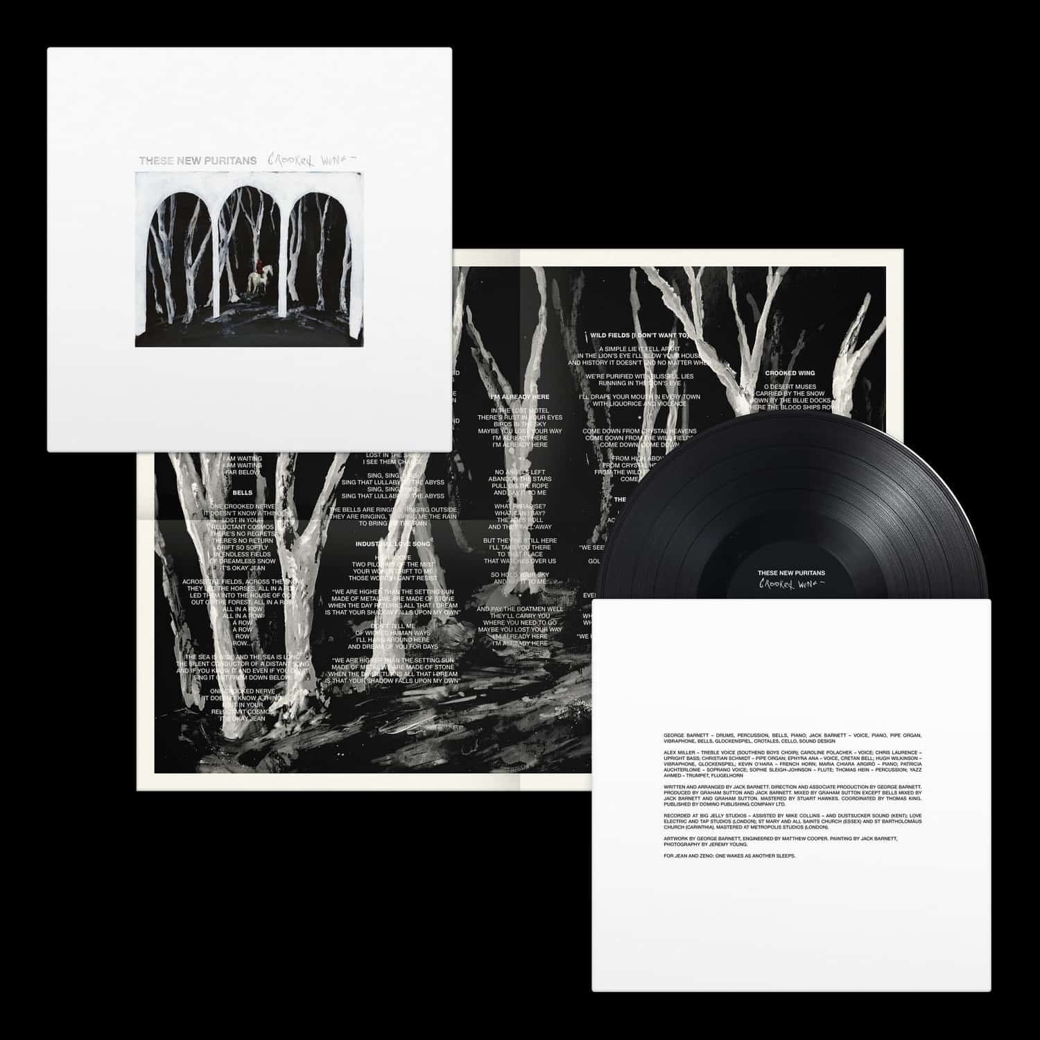 These New Puritans - CROOKED WING 