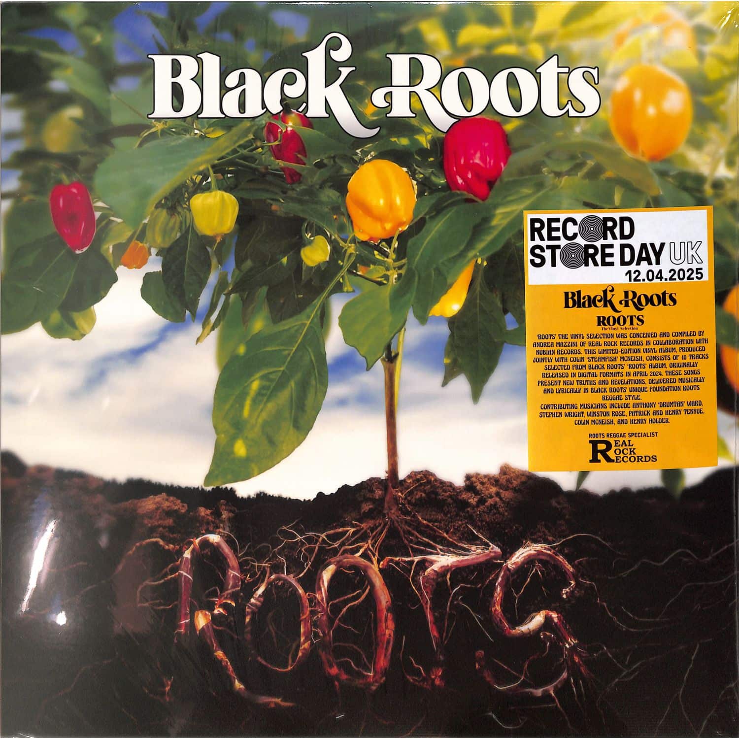 Black Roots - ROOTS 