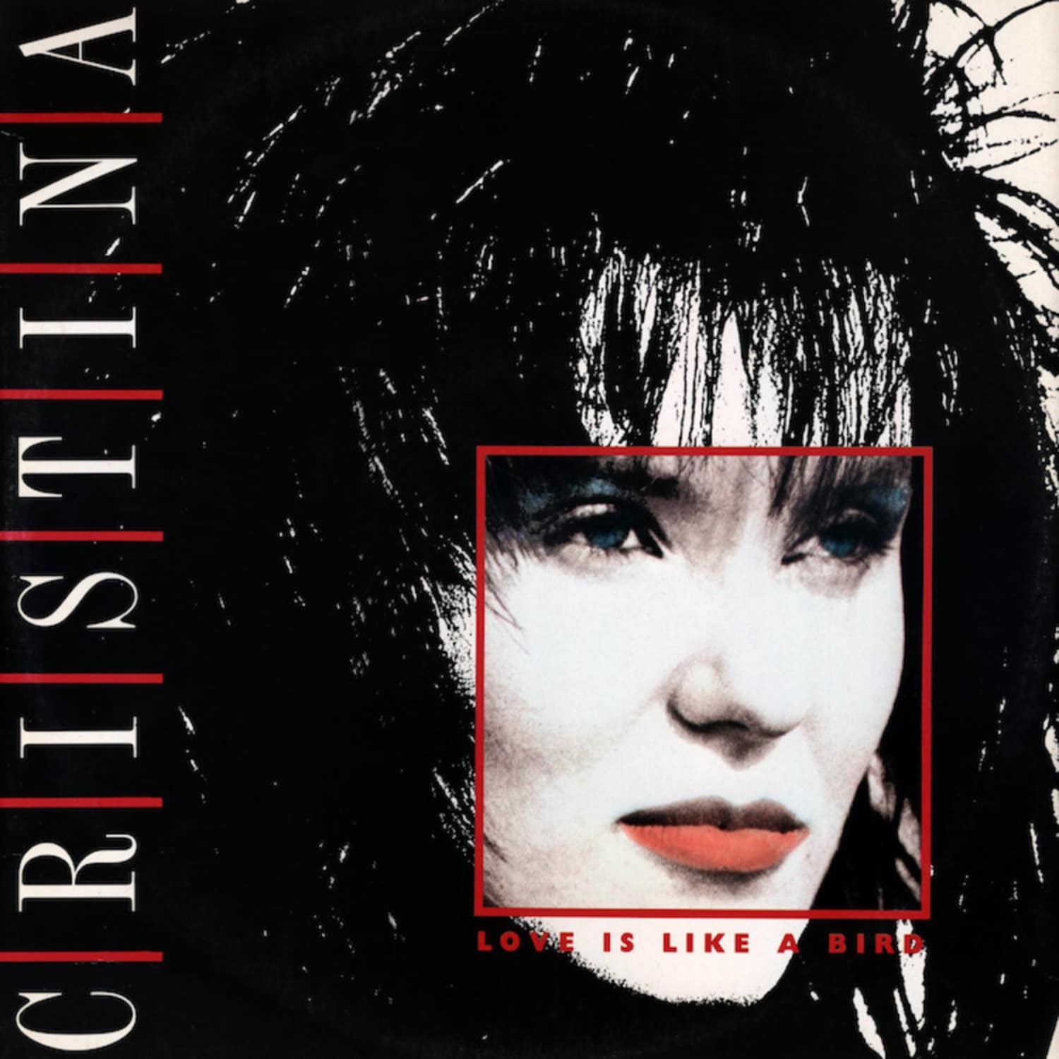 Cristina - LOVE IS LIKE A BIRD