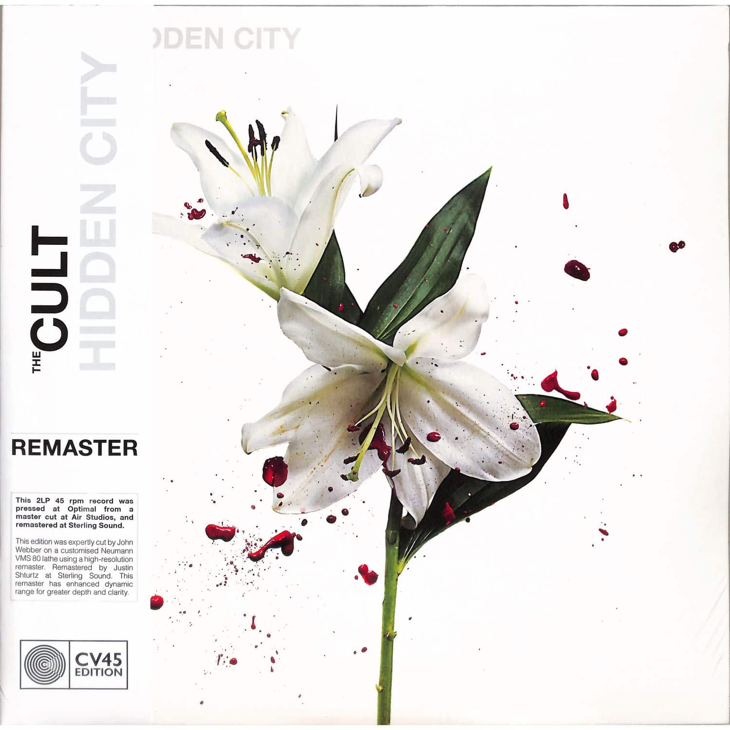 The Cult - HIDDEN CITY 