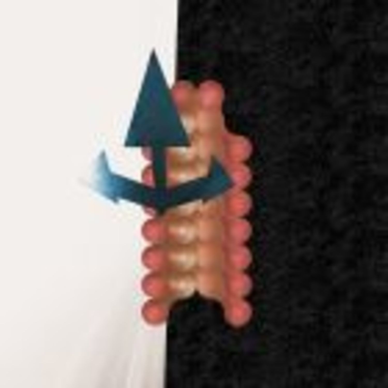 Wata Igarashi & Polygonia - CROSS PASSAGE 