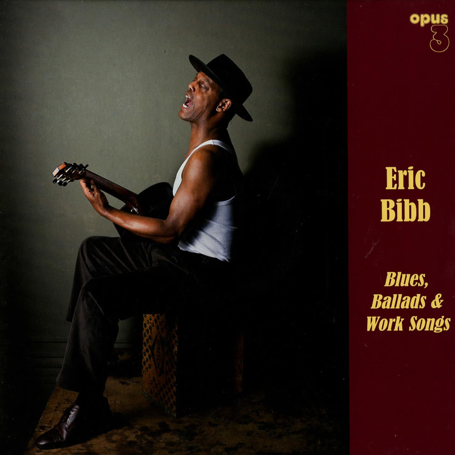 Eric Bibb - BLUES, BALLADS & WORK SONGS 