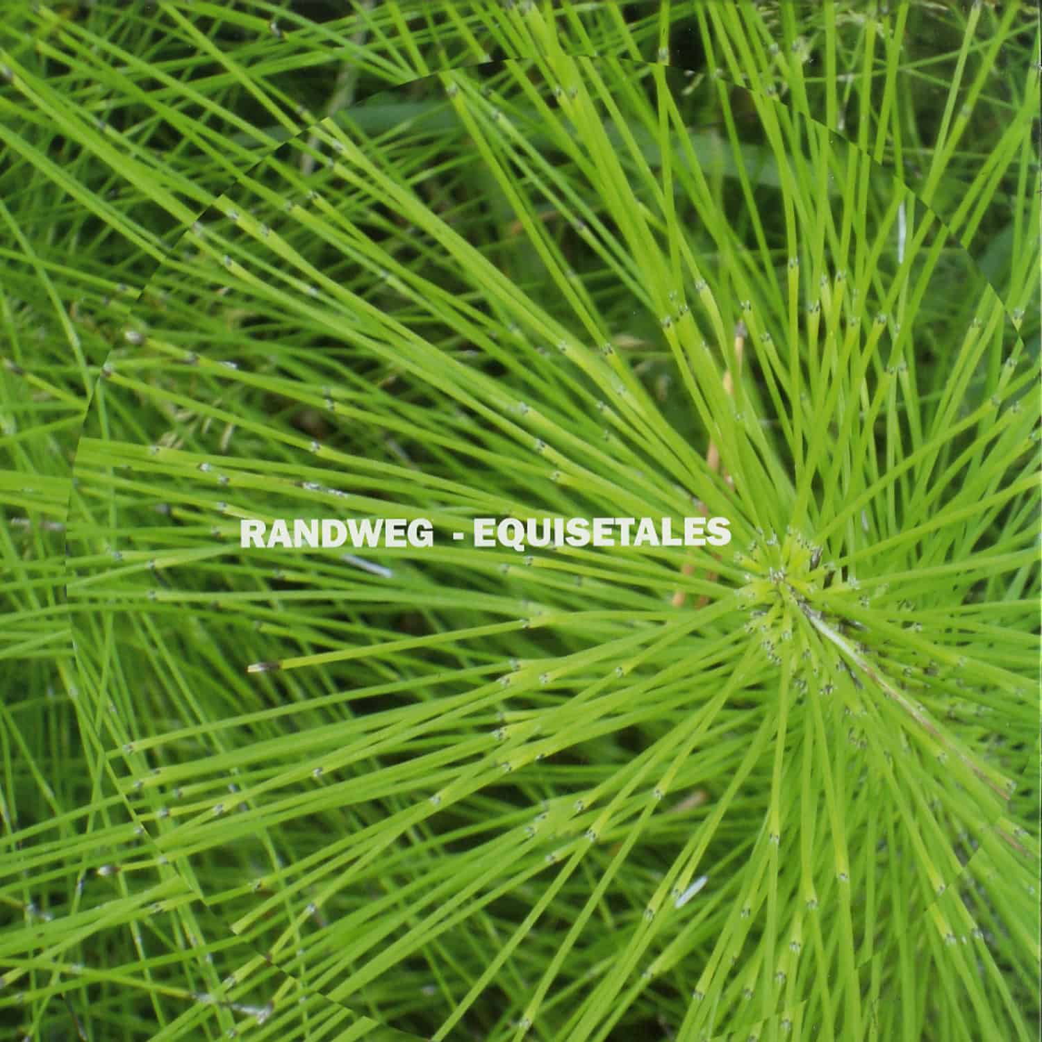 Randweg - EQUISETALES