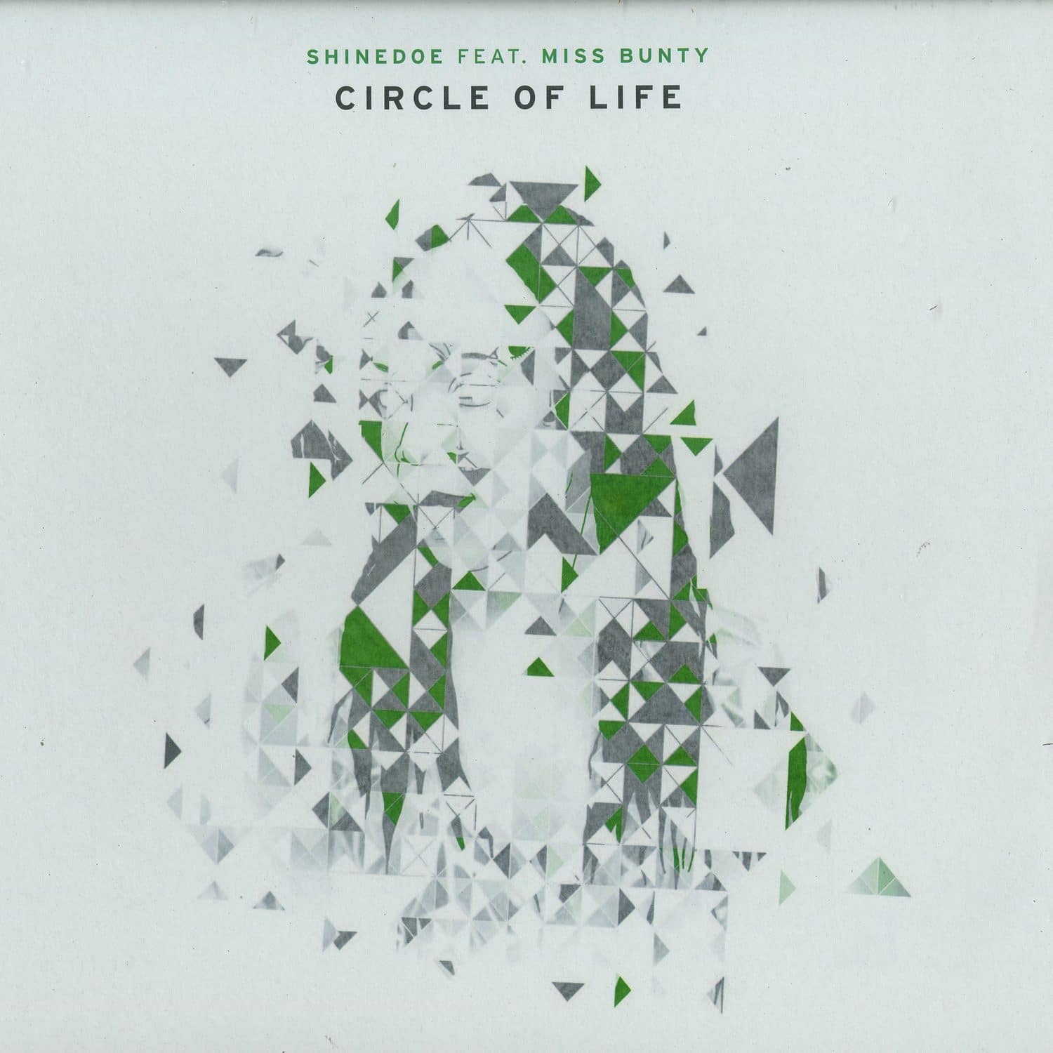 Shinedoe - CIRCLE OF LIFE