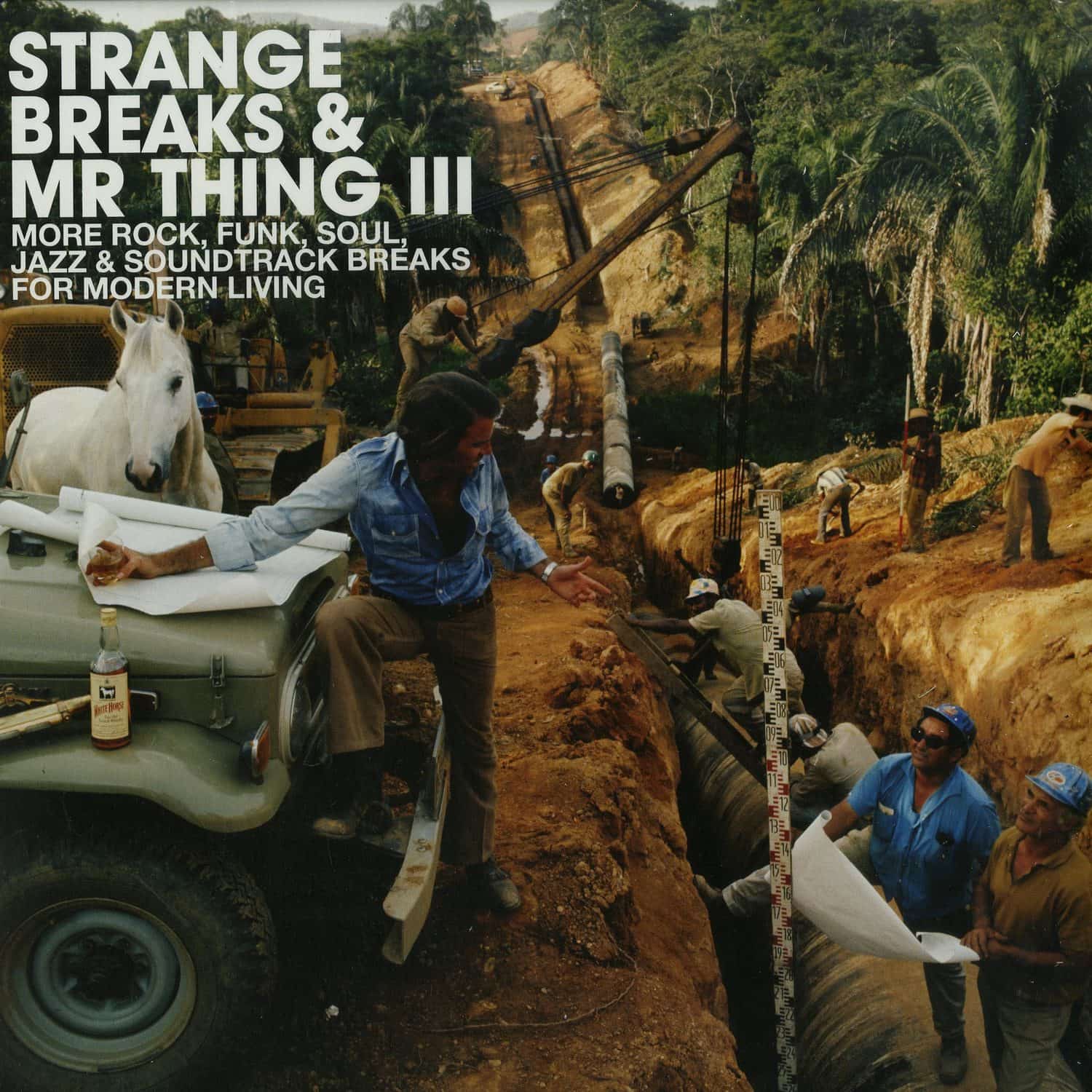 Various Artists - STRANGE BREAKS & MR THING III 