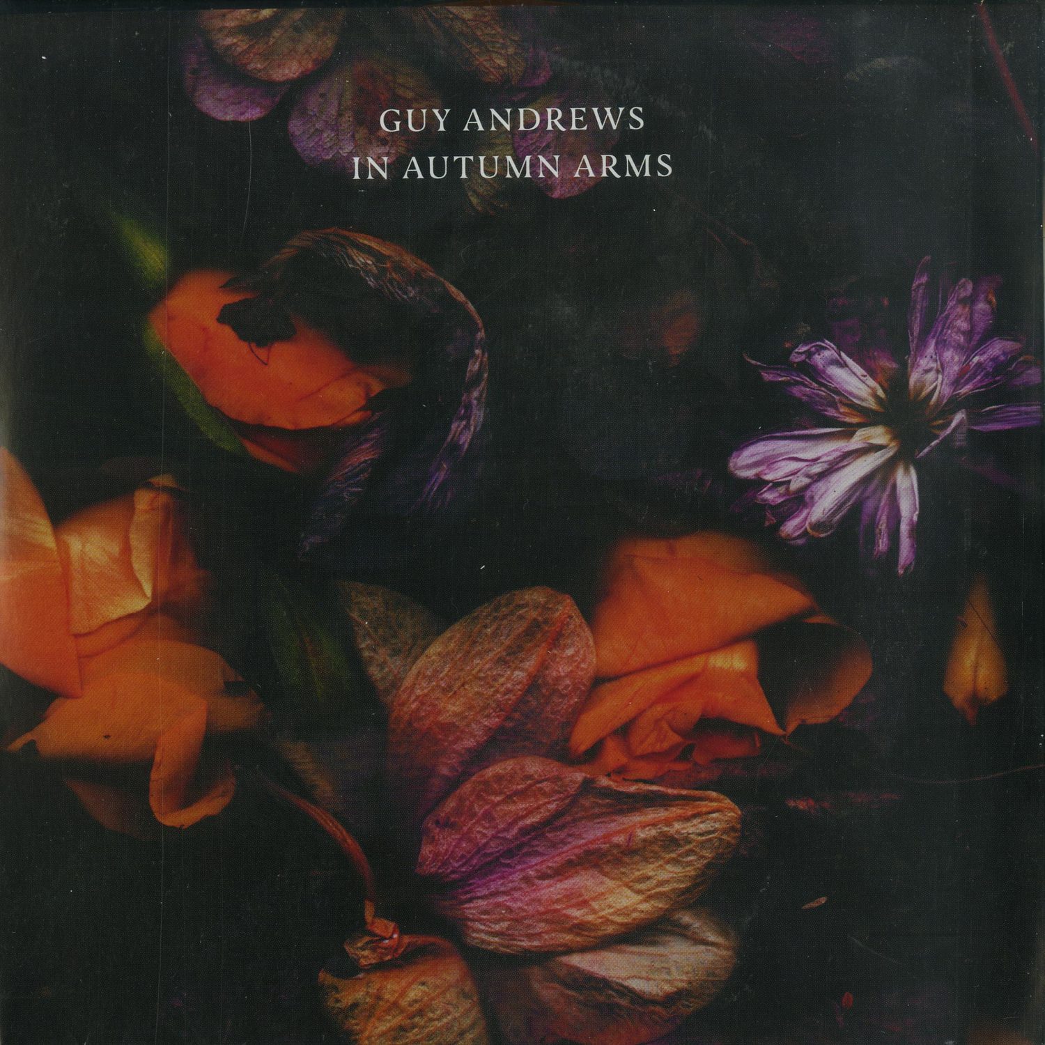 Guy Andrews - IN AUTUMN ARMS 