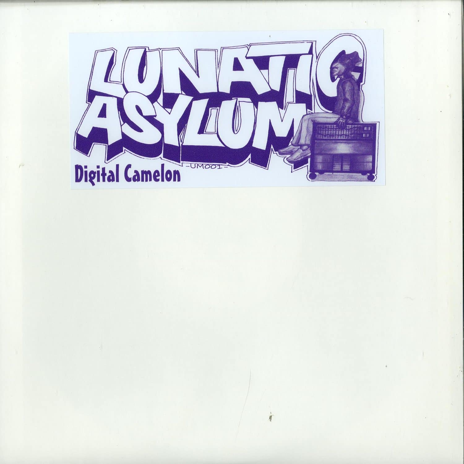 Lunatic Asylum - DIGITAL CAMELON