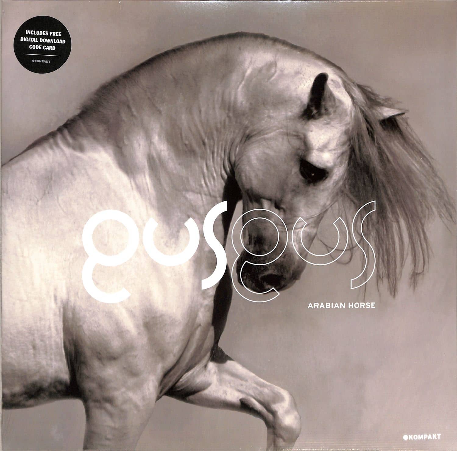Gus Gus - ARABIAN HORSE 