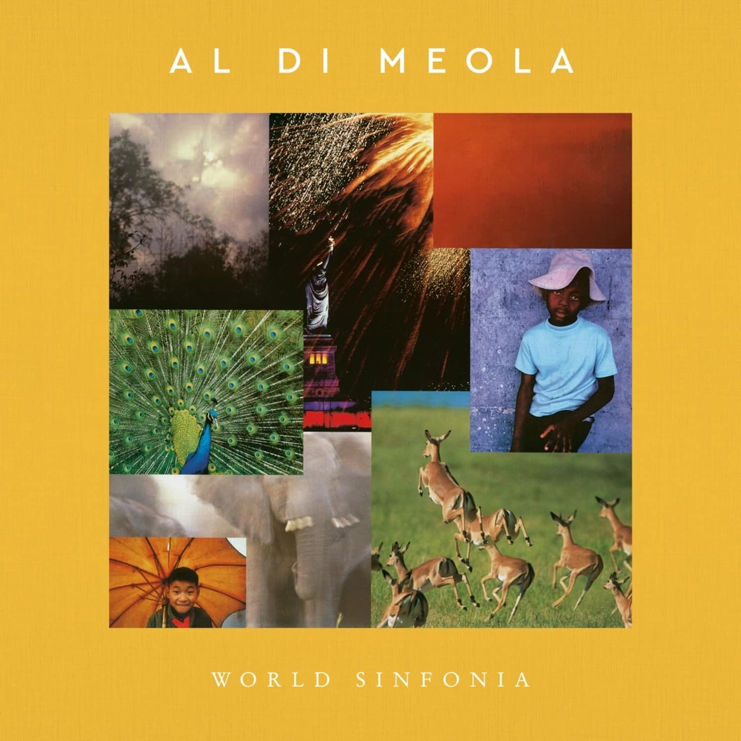  Al Di Meola - WORLD SINFONIA 