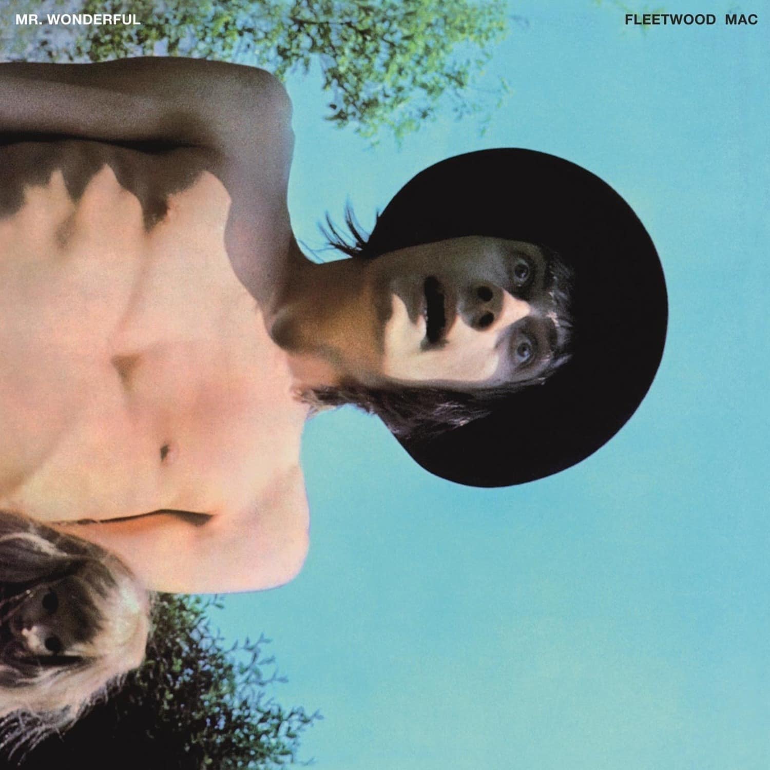 Fleetwood Mac - MR.WONDERFUL 