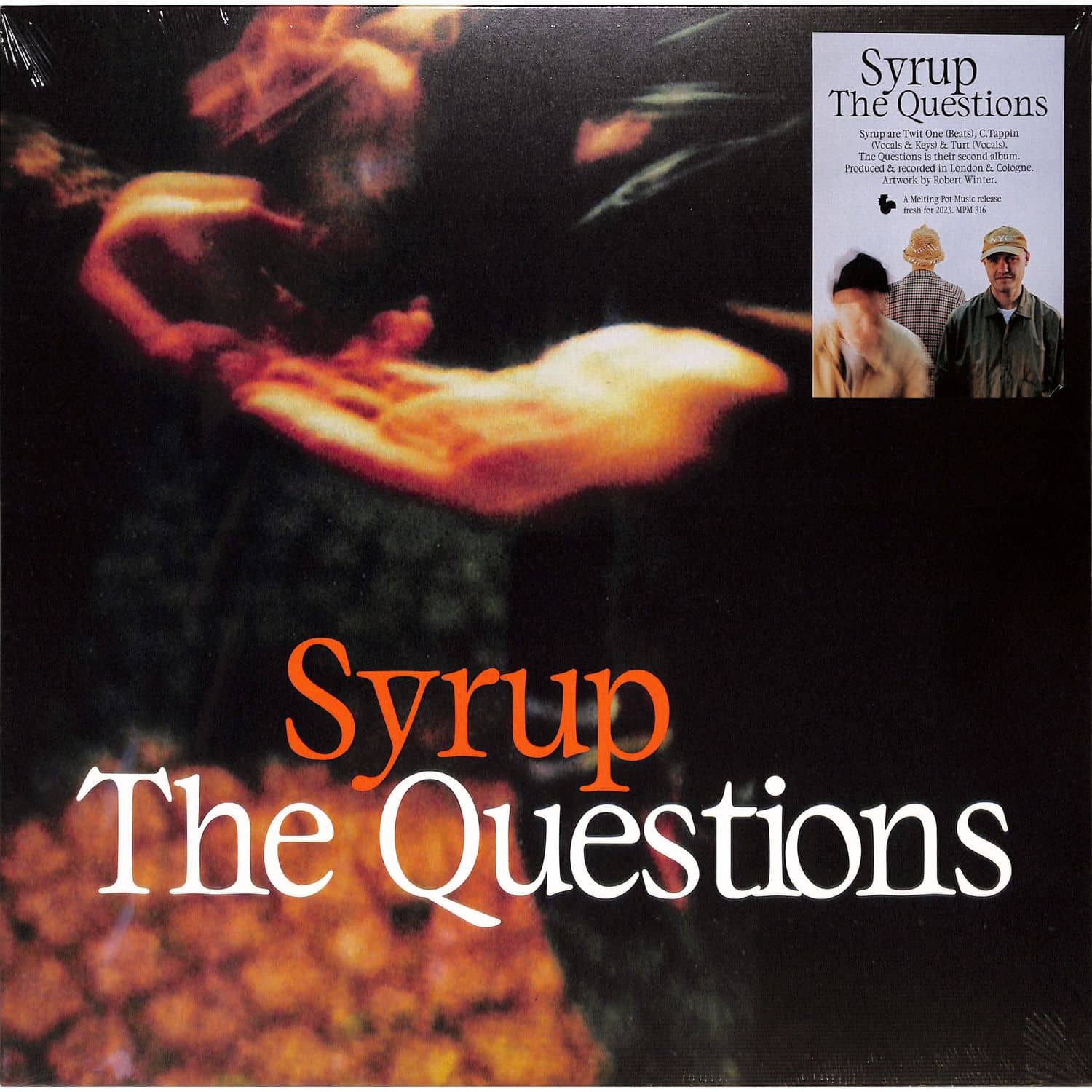 Syrup - THE QUESTIONS 