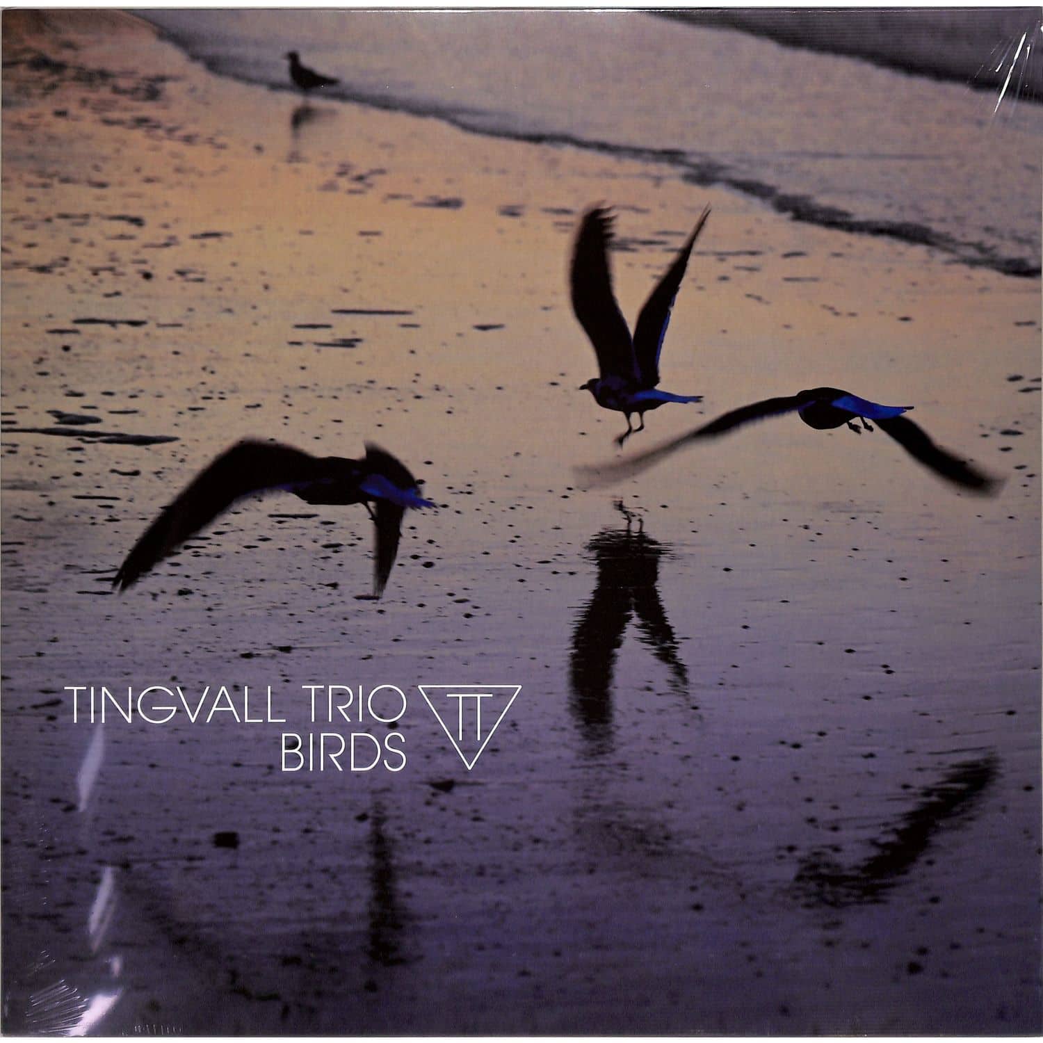 Tingvall Trio - BIRDS 