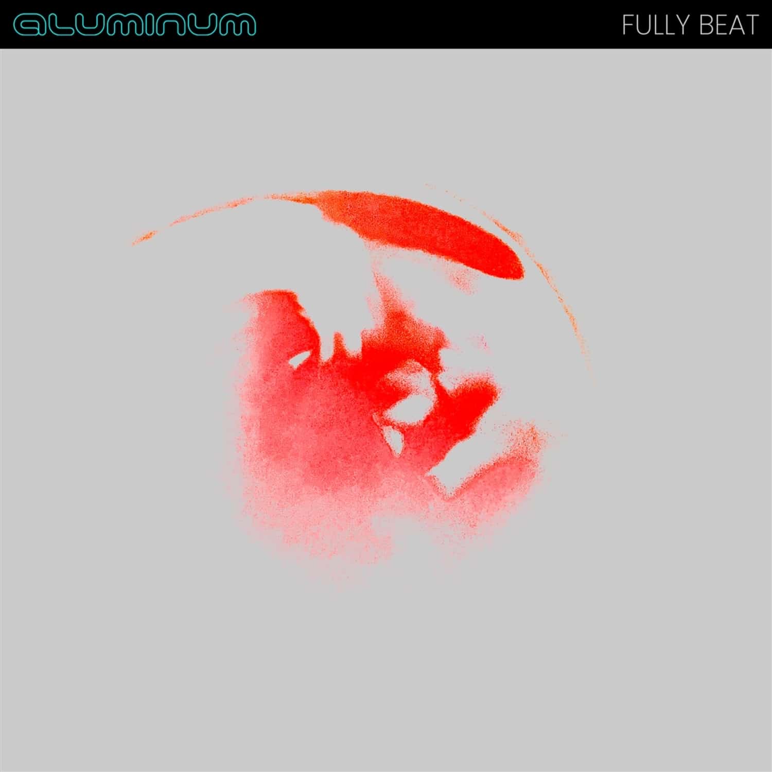 Aluminum - FULLY BEAT 