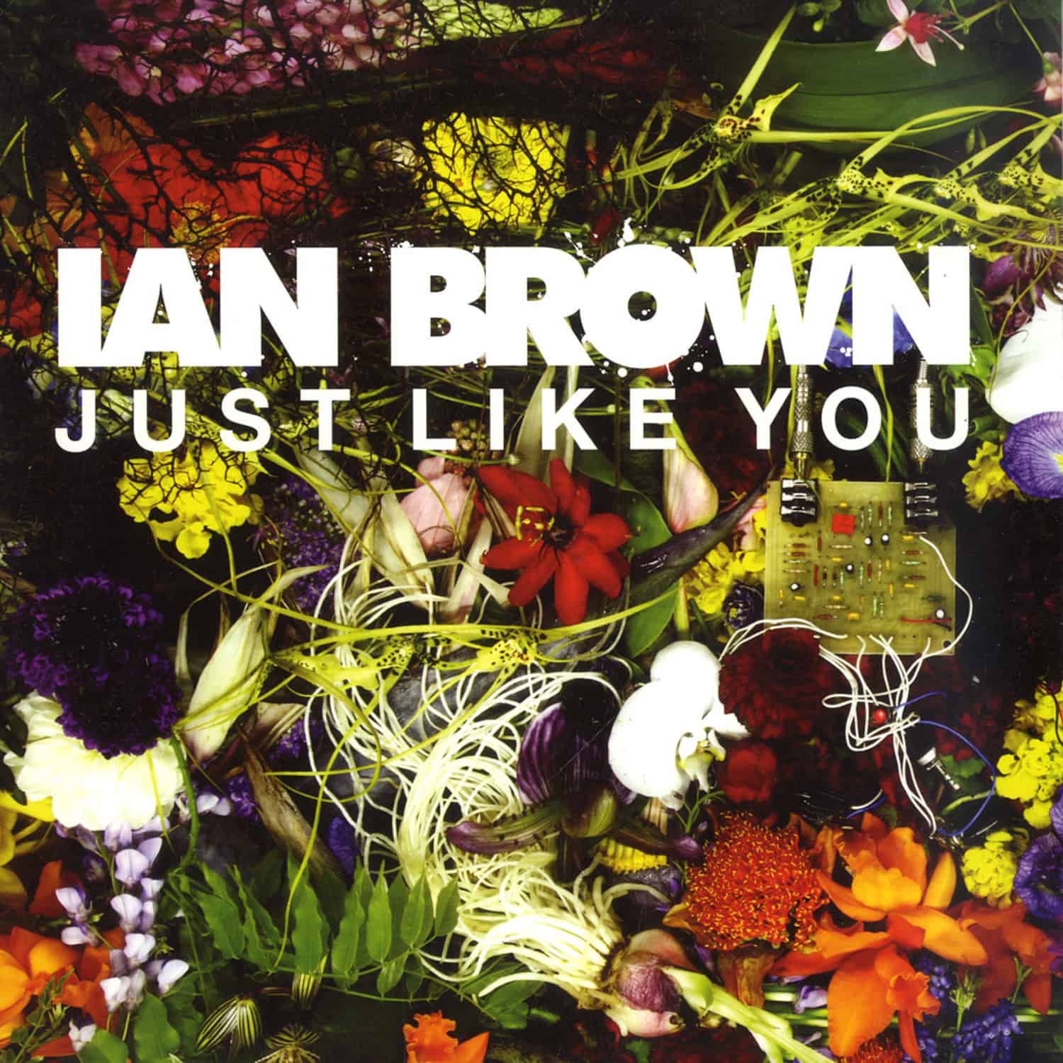 Ian Brown - JUST LIKE YOU