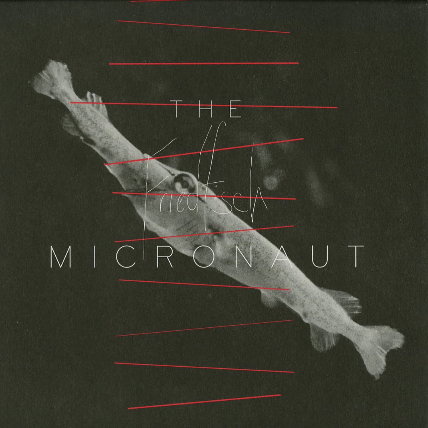 The Micronaut - FRIEDFISCH 