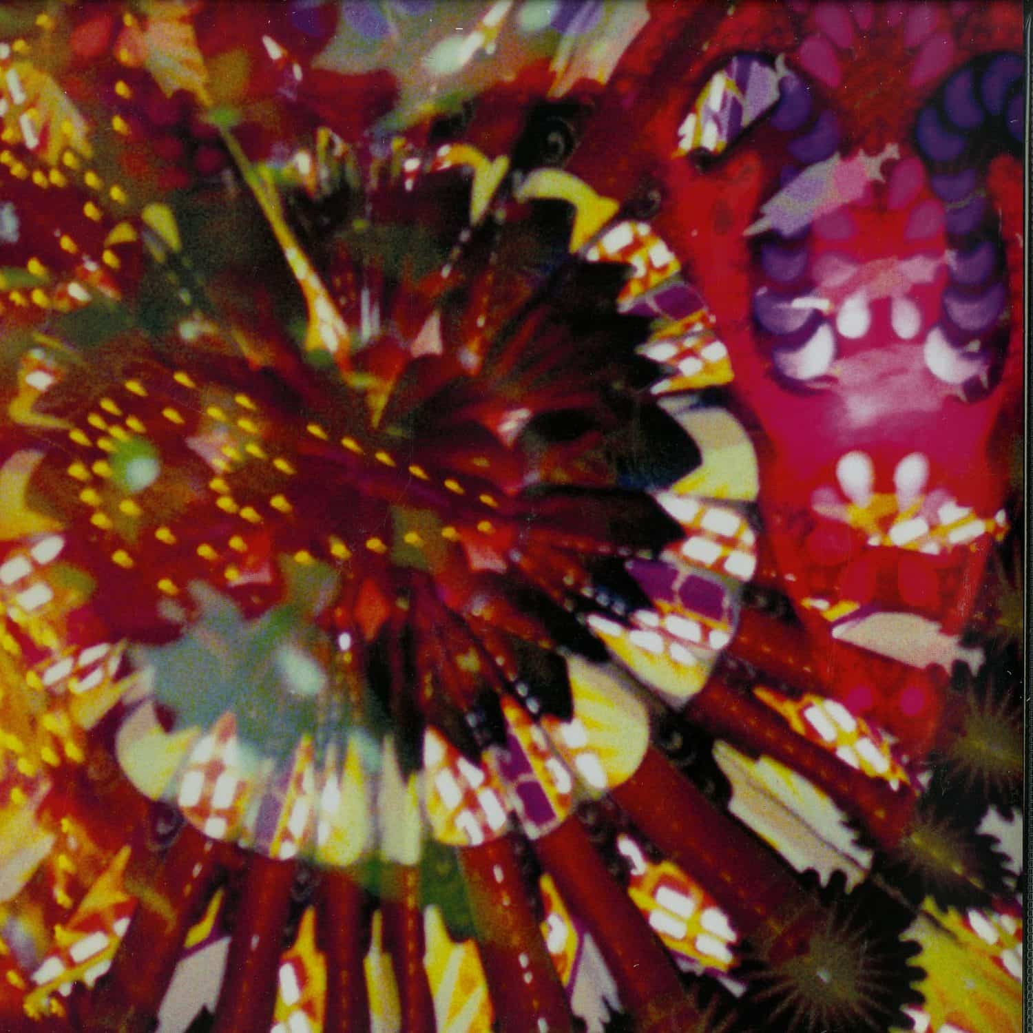 Caribou Vibration Ensemble - CVE LIVE 2011 