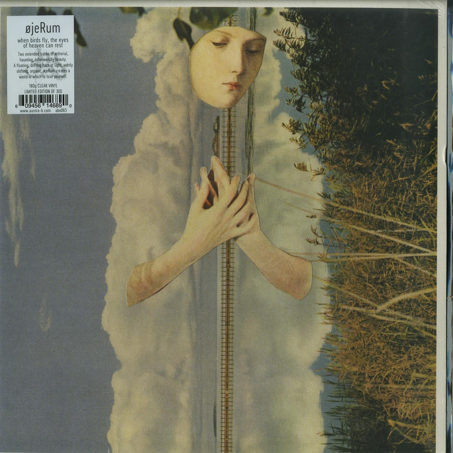 OjeRum - WHEN BIRDS FLY, THE EYES OF HEAVEN CAN REST