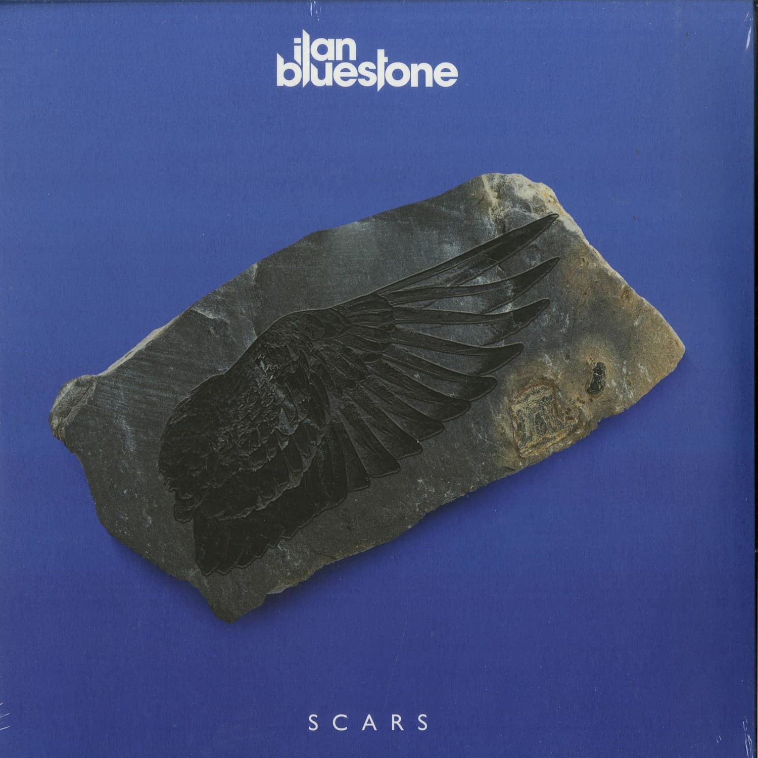 ilan Bluestone - SCARS 