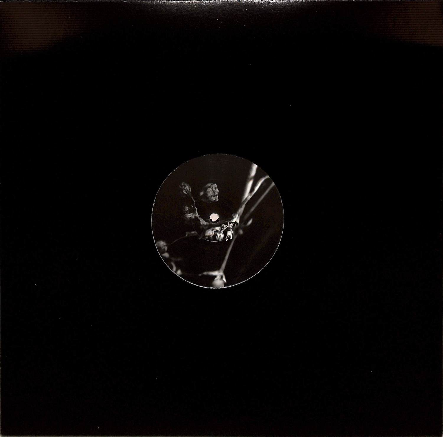 Luigi Madonna - THE COLOURS OF THE DAY EP
