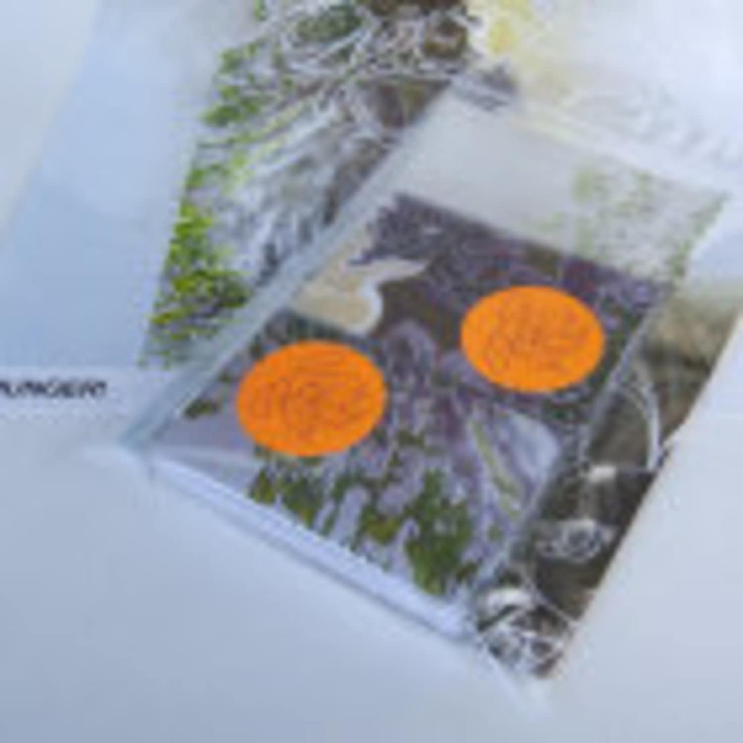 Jentlemen / Alina Valentina / Dim Garden - WITHOUT WINNING YOU OVER LASCENSEUR