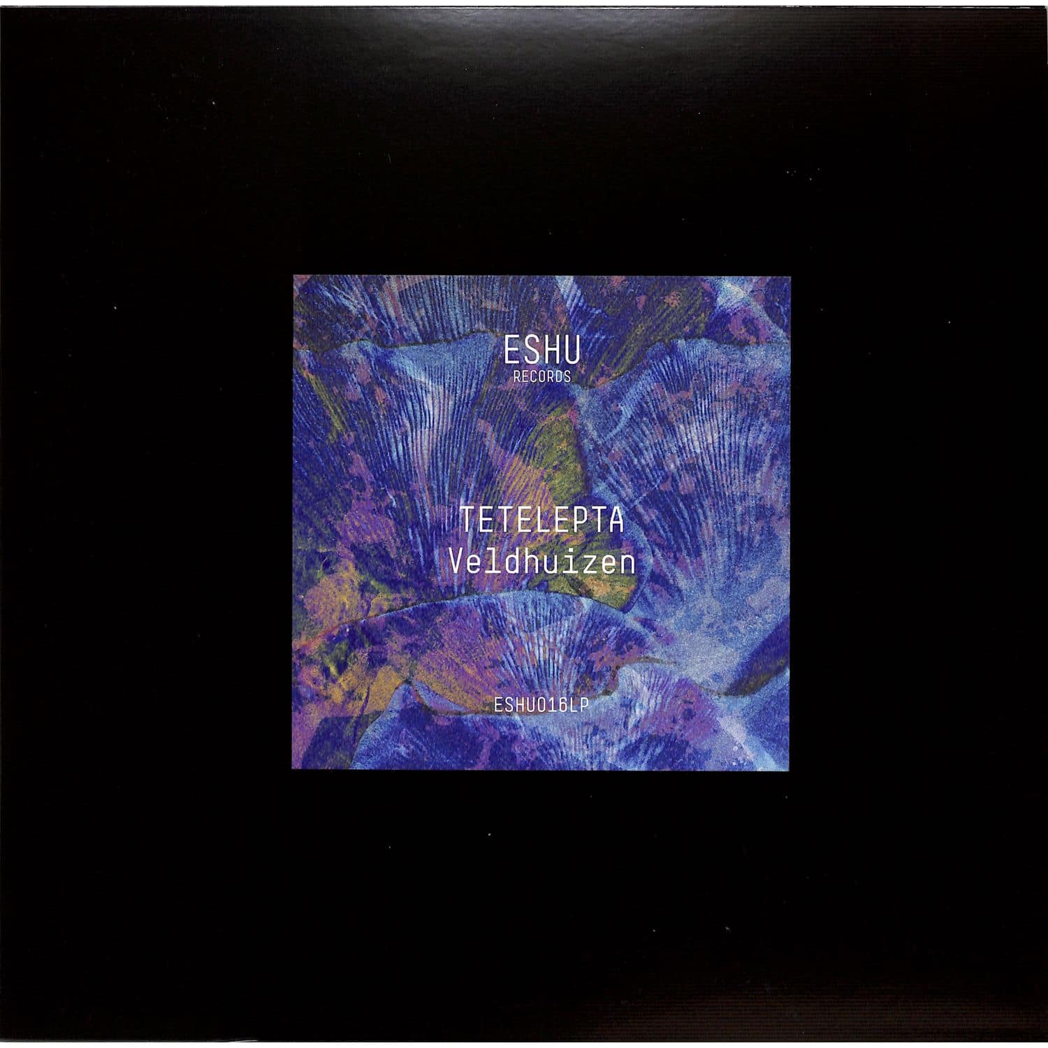 Tetelepta - VELDHUIZEN 