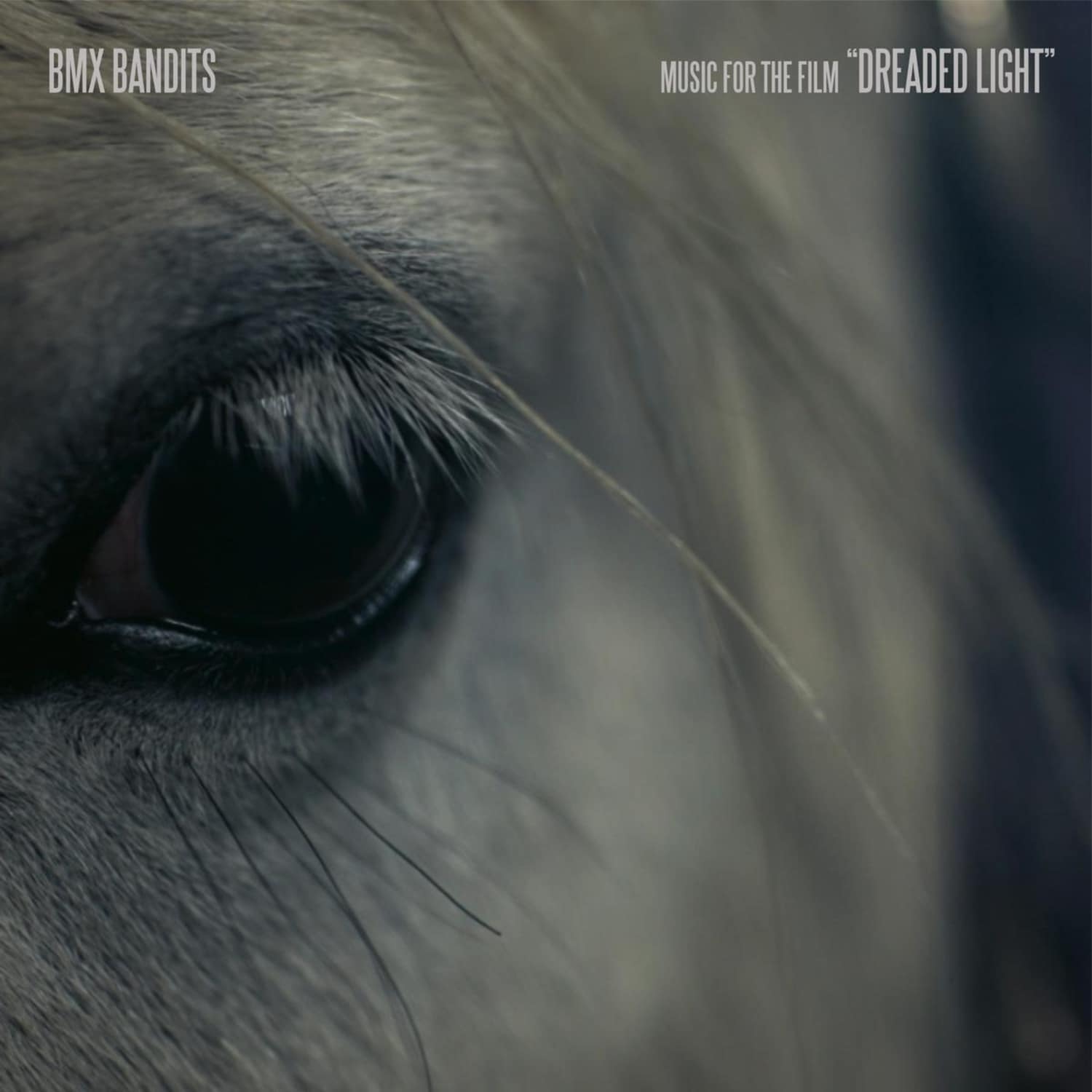 BMX Bandits - DREADED LIGHT 