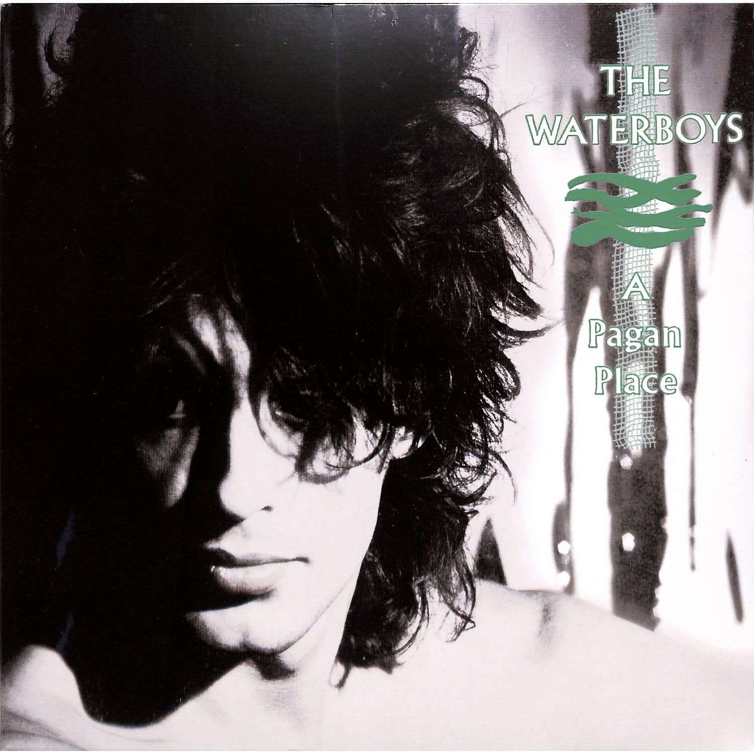 The Waterboys - A PAGAN PLACE 
