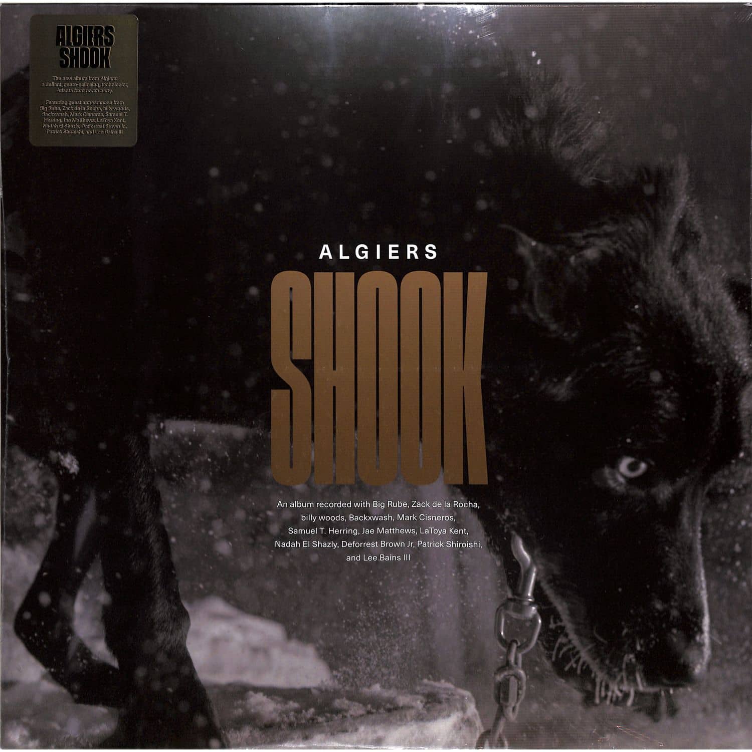 Algiers - SHOOK 