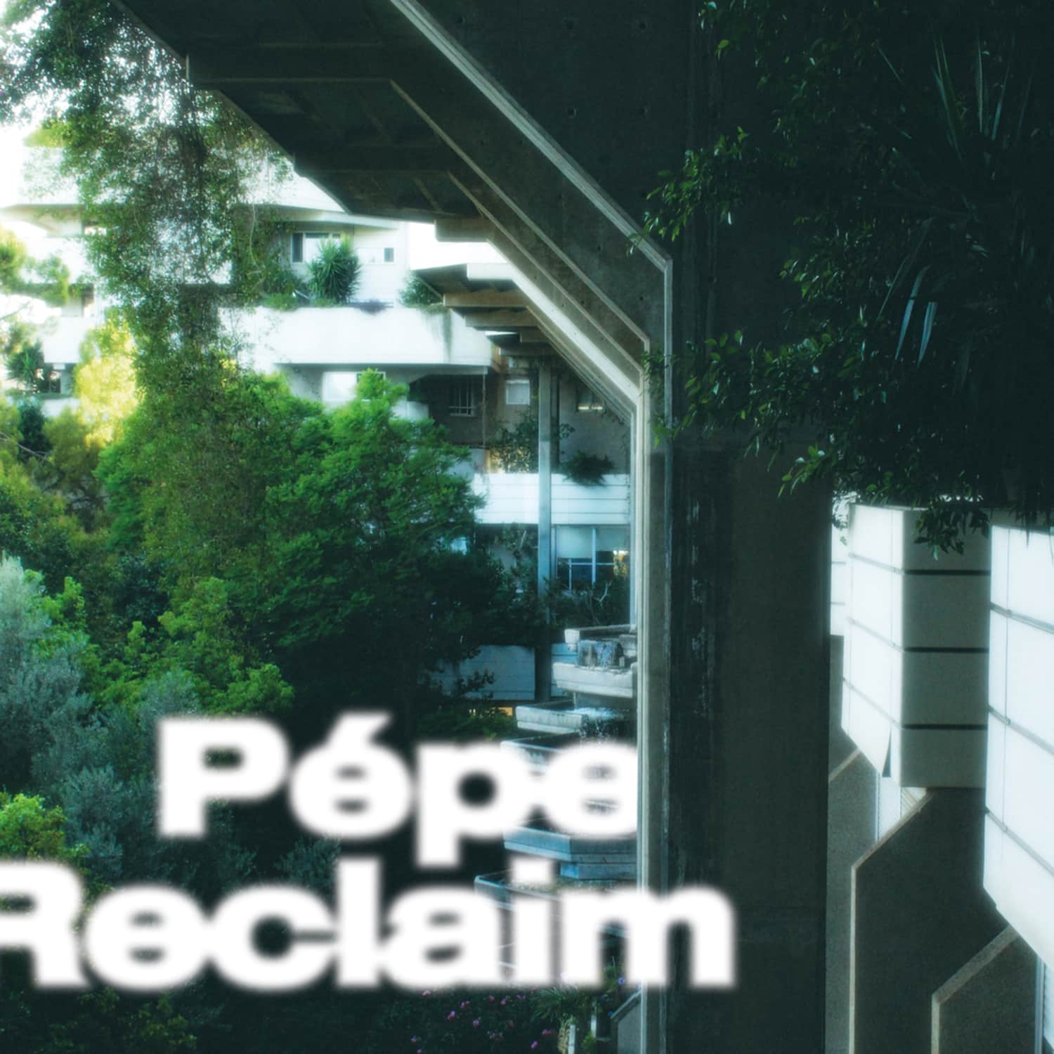 Pepe - RECLAIM 