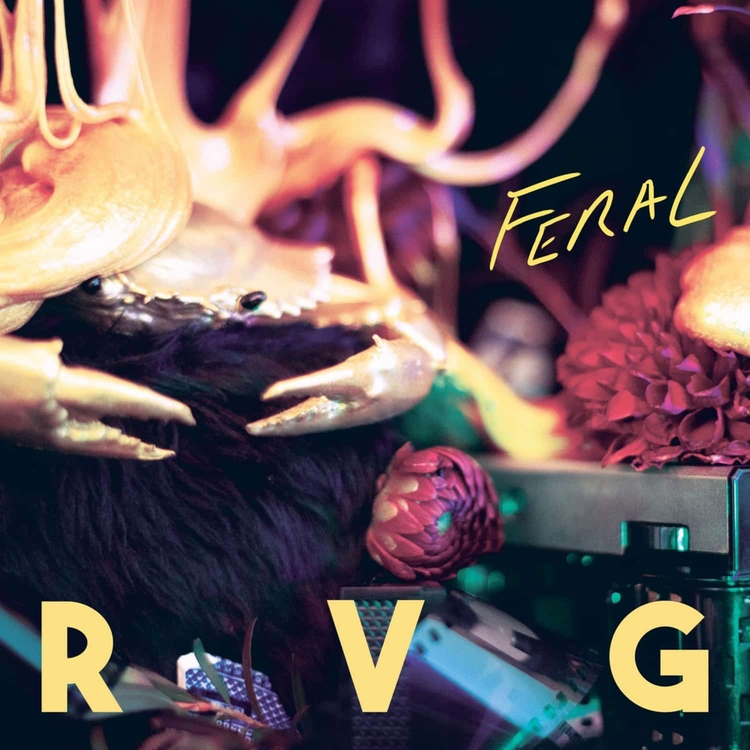 RVG - FERAL 