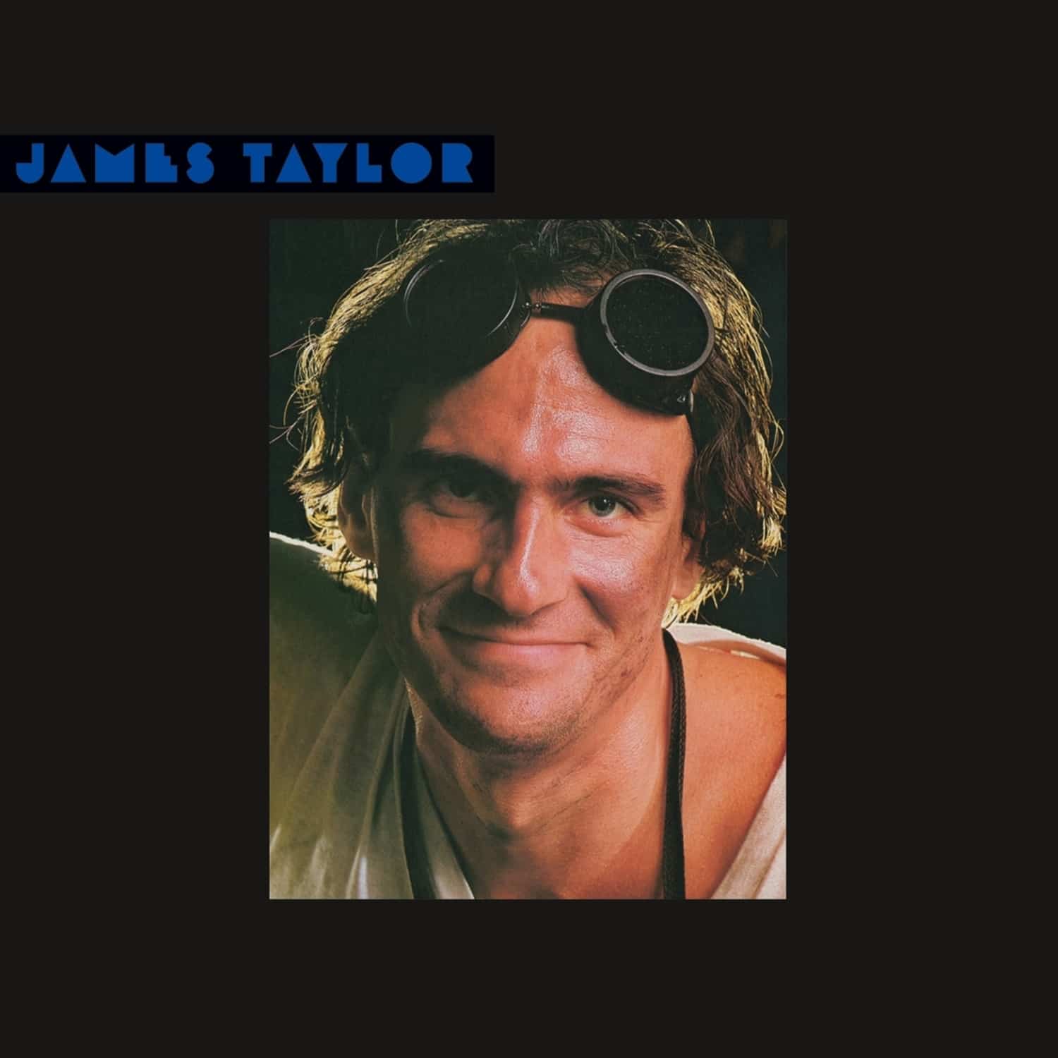 James Taylor - DAD LOVES HIS WORK 
