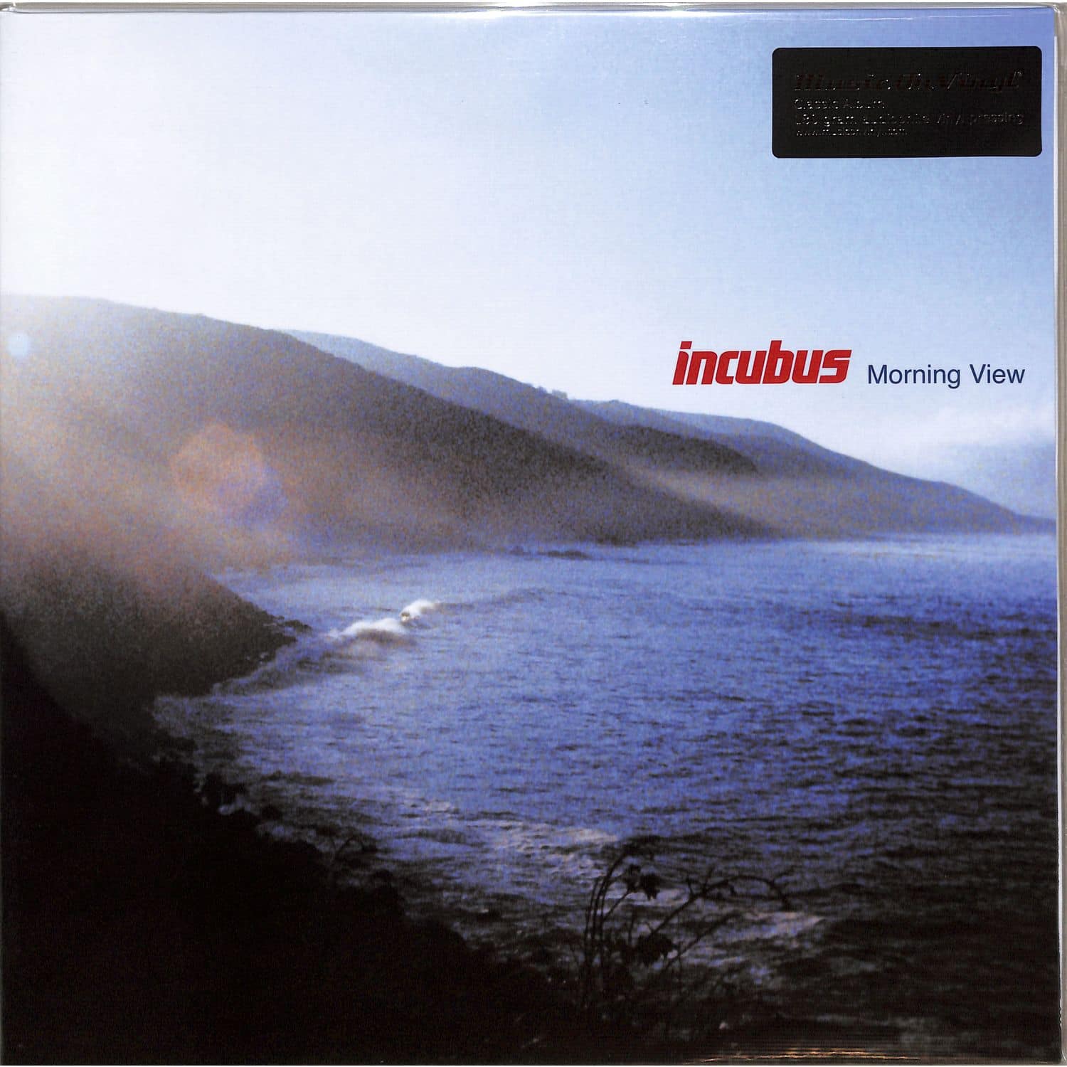 Incubus - MORNING VIEW 