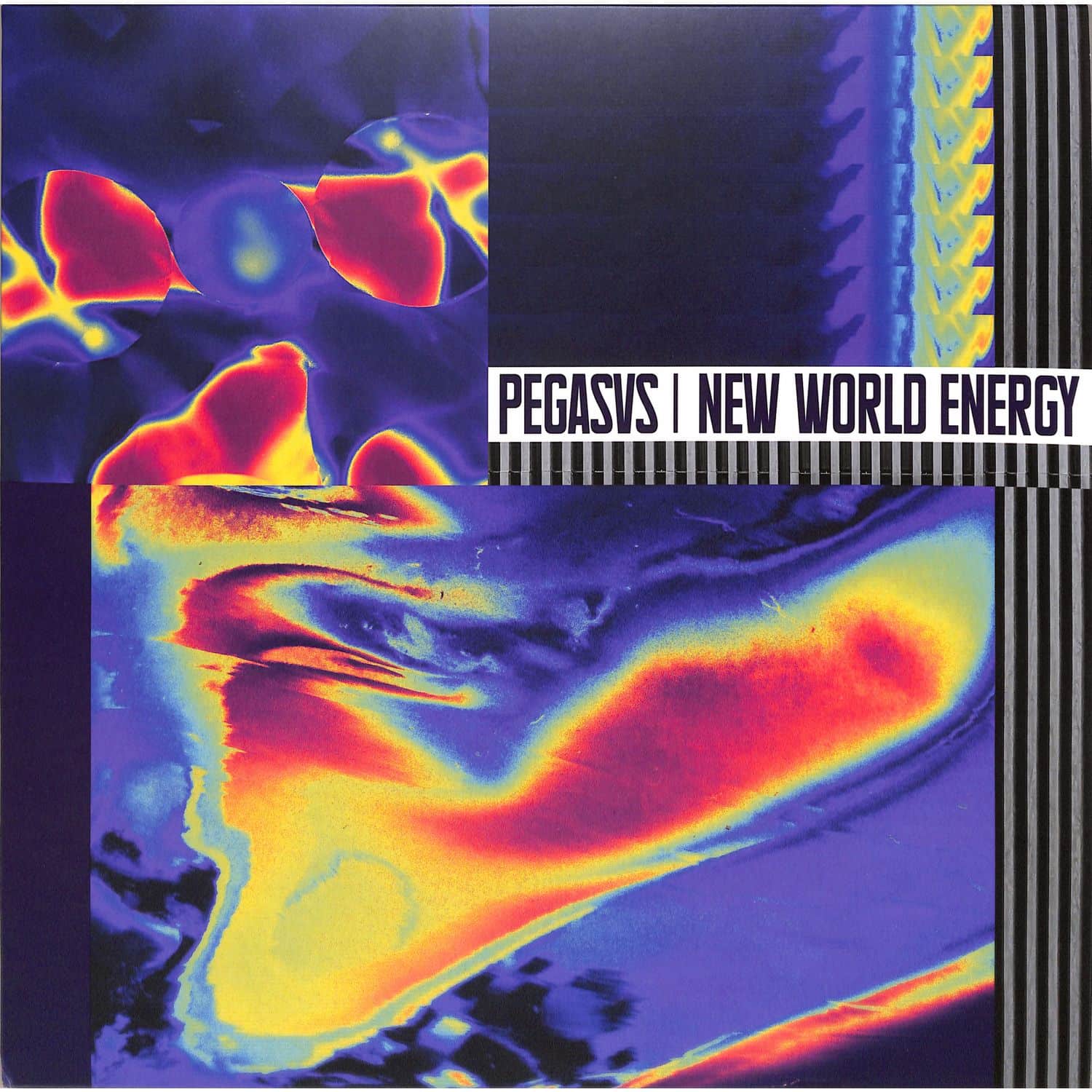 Pegasvs - NEW WORLD ENERGY
