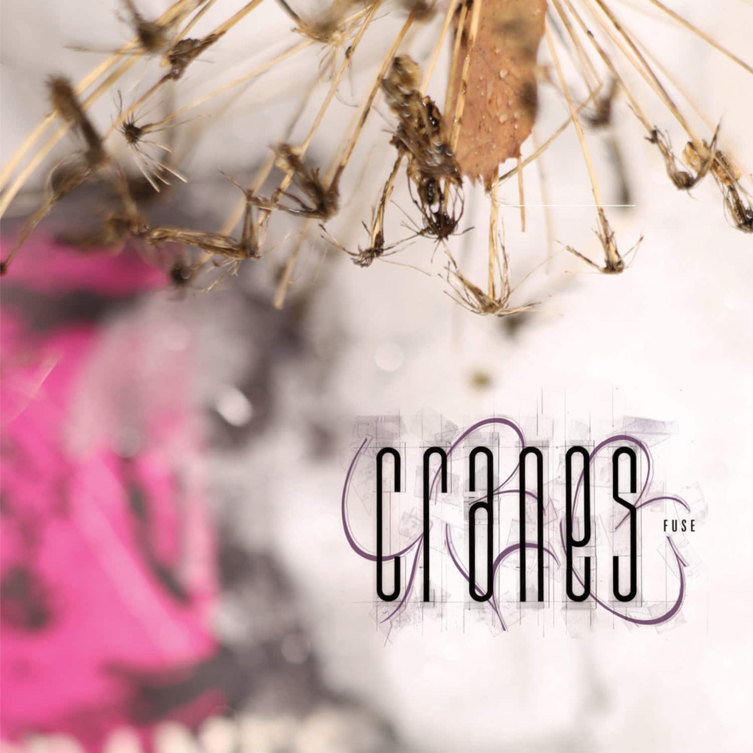 Cranes - FUSE