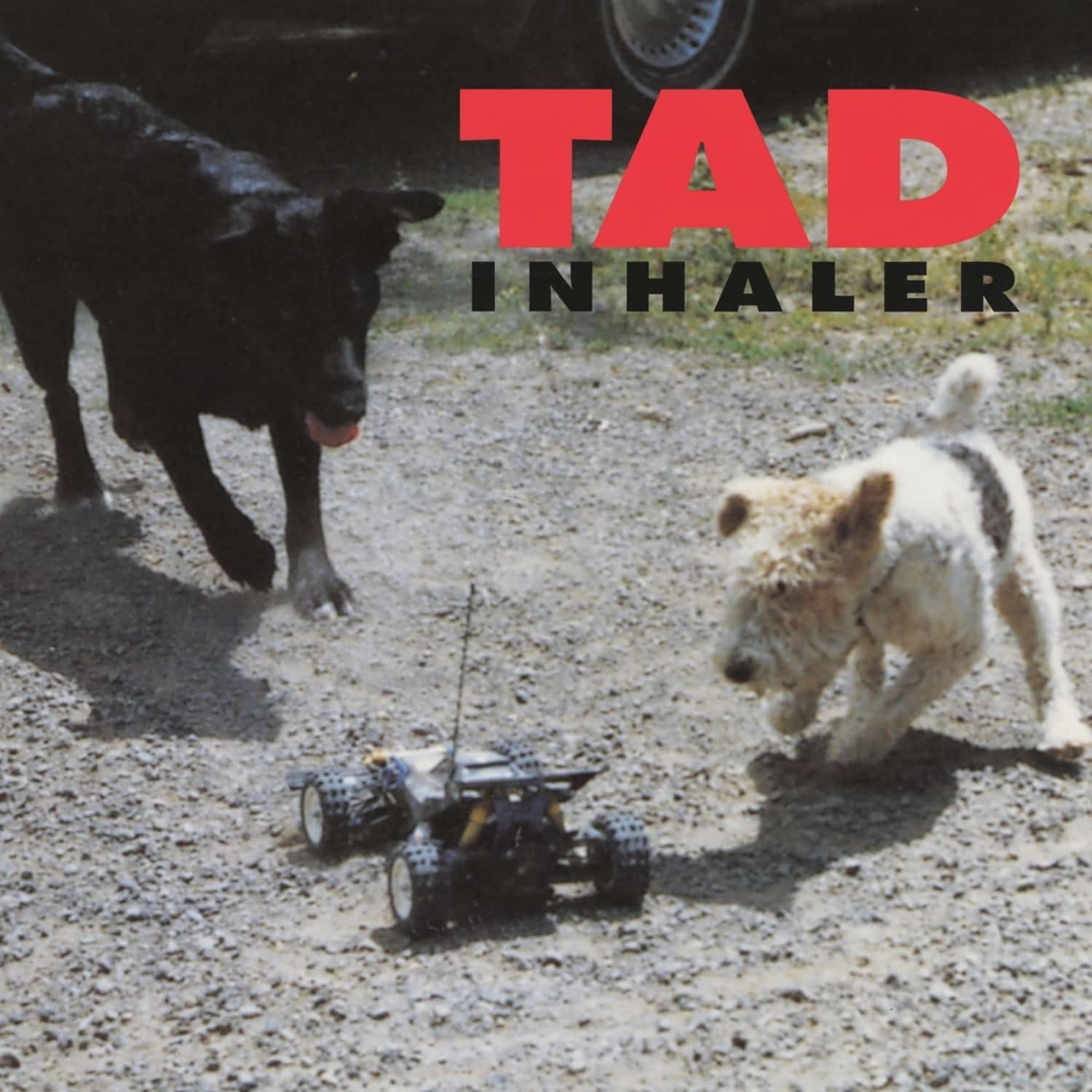 Tad - INHALER 