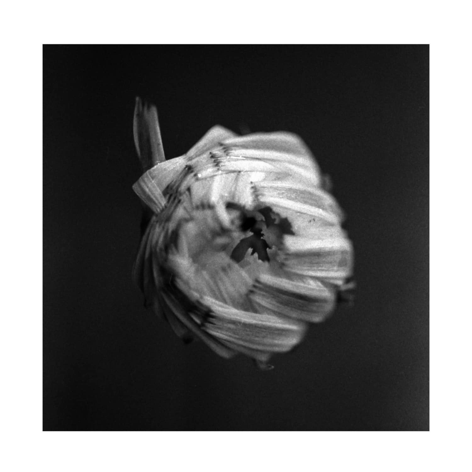 A Swarm of the Sun - AN EMPIRE