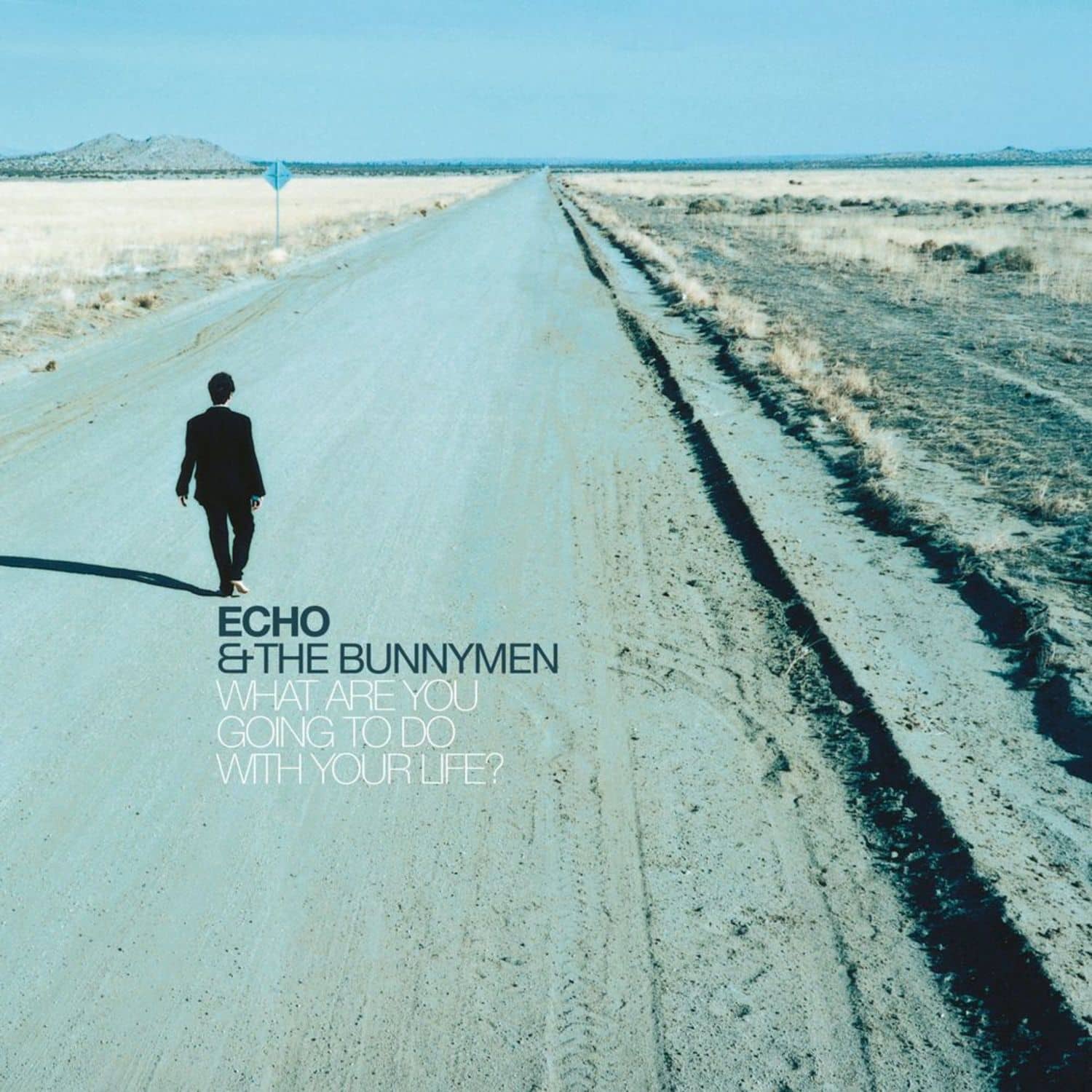 Echo and The Bunnymen - WHAT ARE YOU GOING TO DO WITH YOUR LIFE ? 
