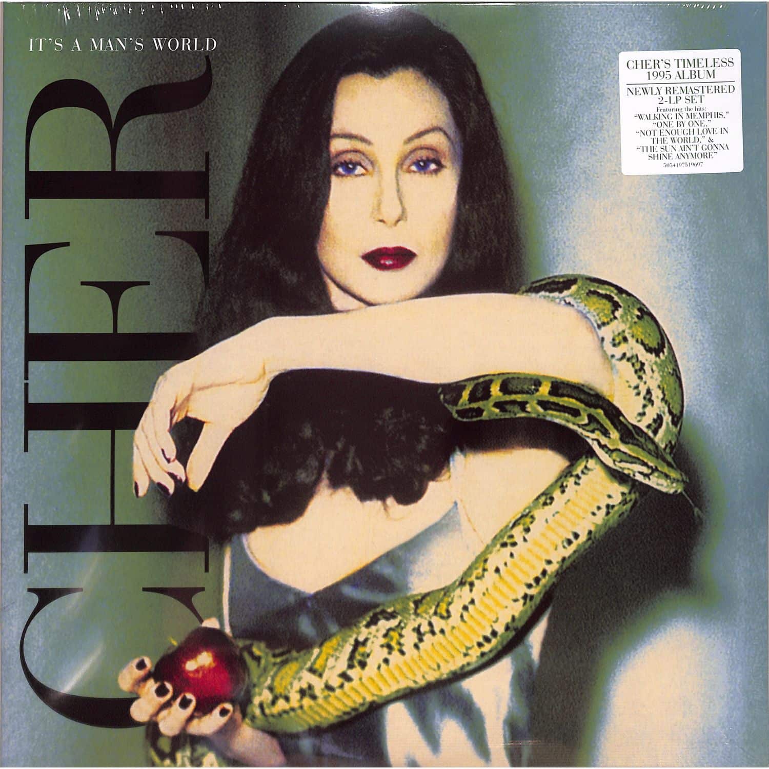 Cher - ITS A MAN S WORLD 