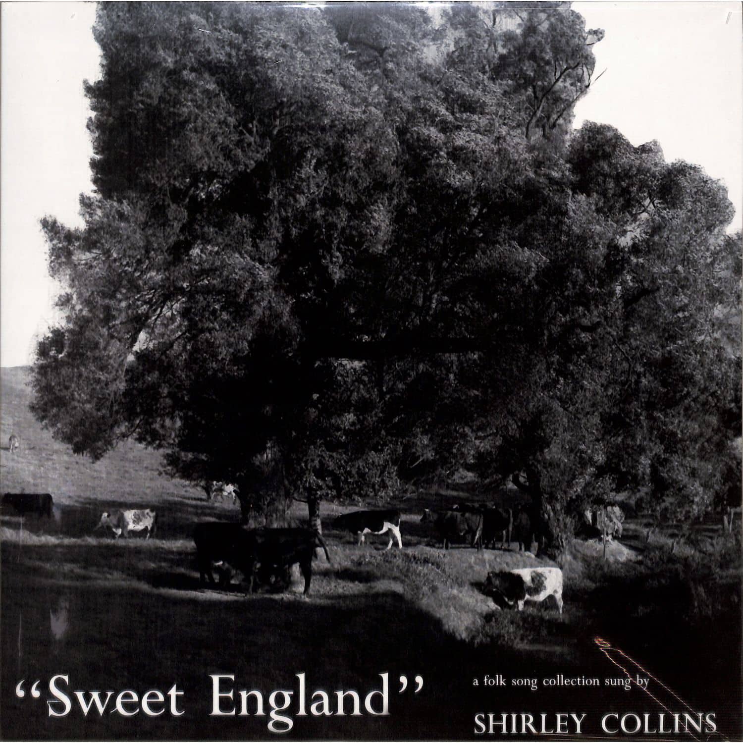 Shirley Collins - SWEET ENGLAND 