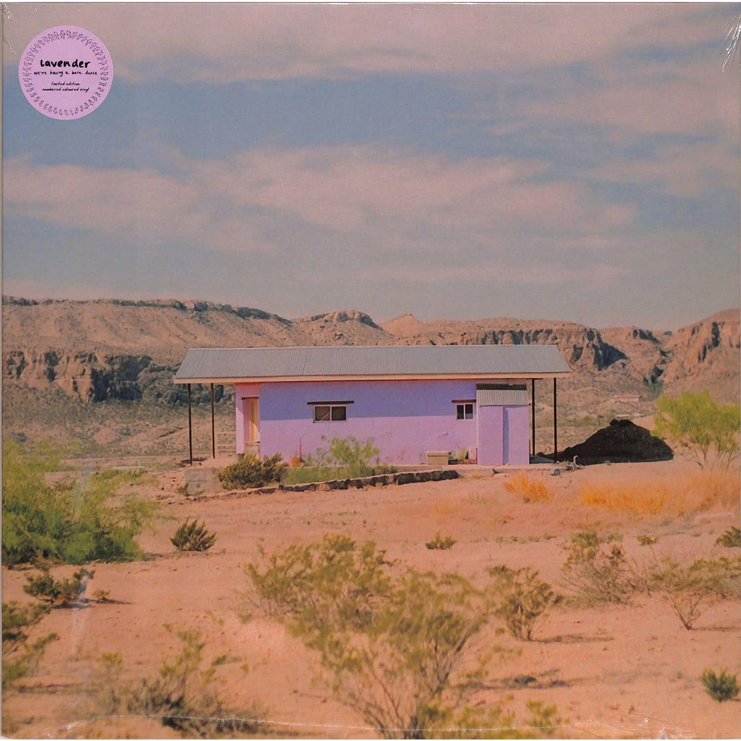 Lavender - WE RE HAVING A BARN DANCE 