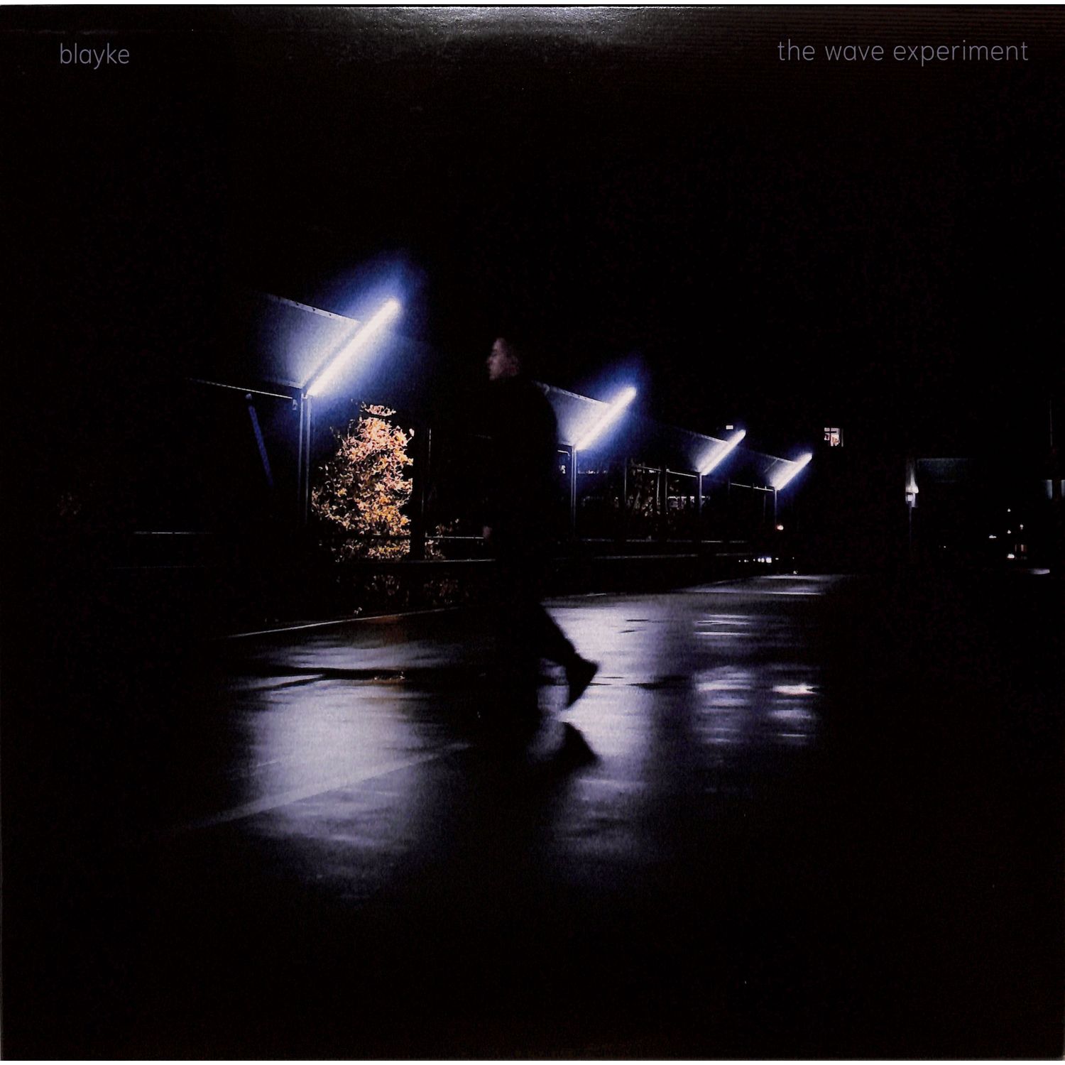 Blayke - THE WAVE EXPERIMENT