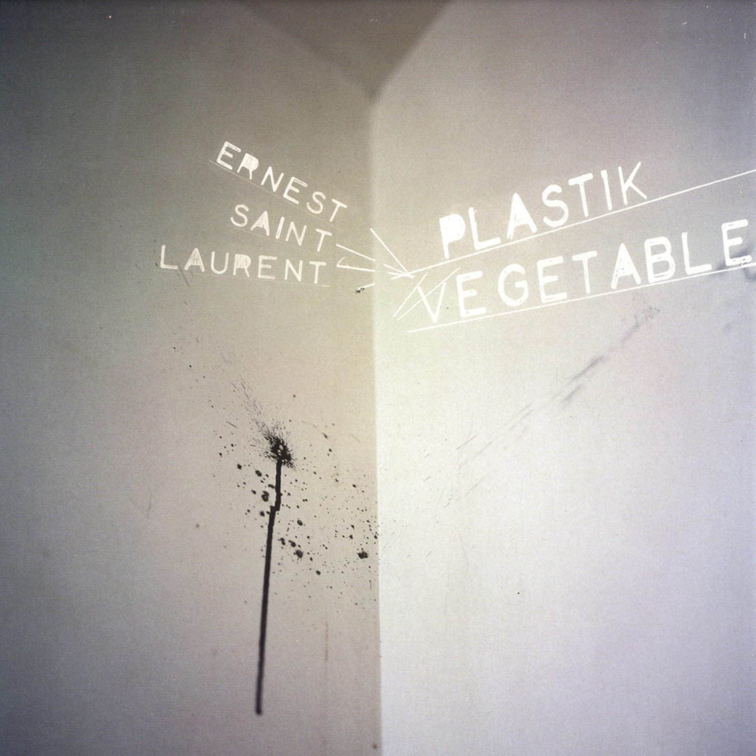 Ernest Saint Laurent - PLASTIK VEGETABLE