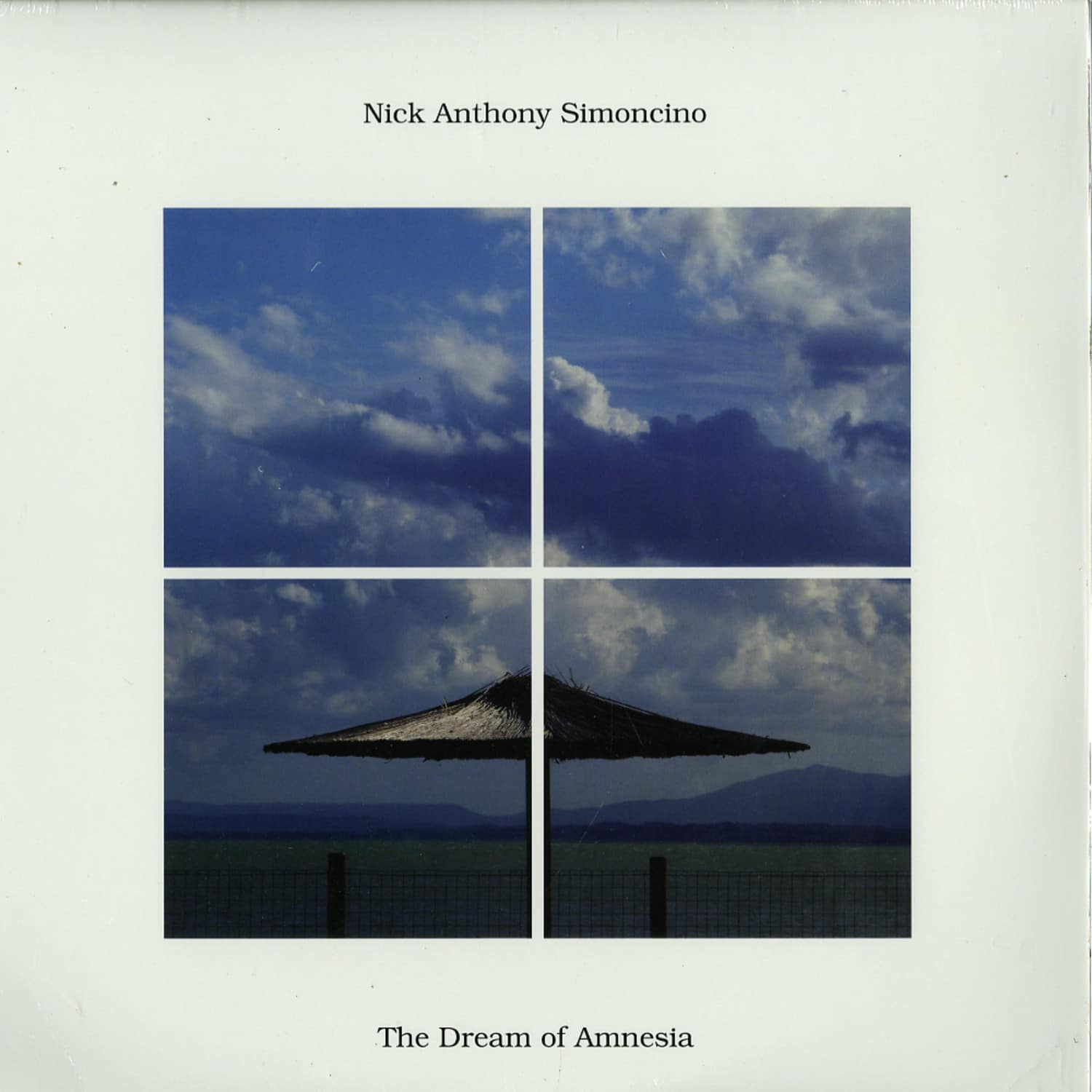 Nick Anthony Simoncino - THE DREAM OF AMNESIA L.P 