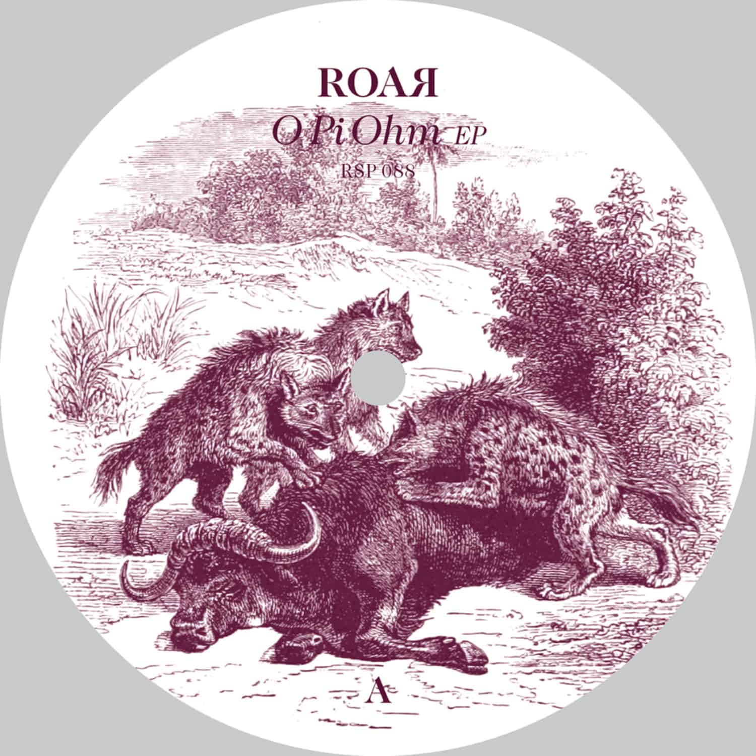 Roar - O PI OHM EP