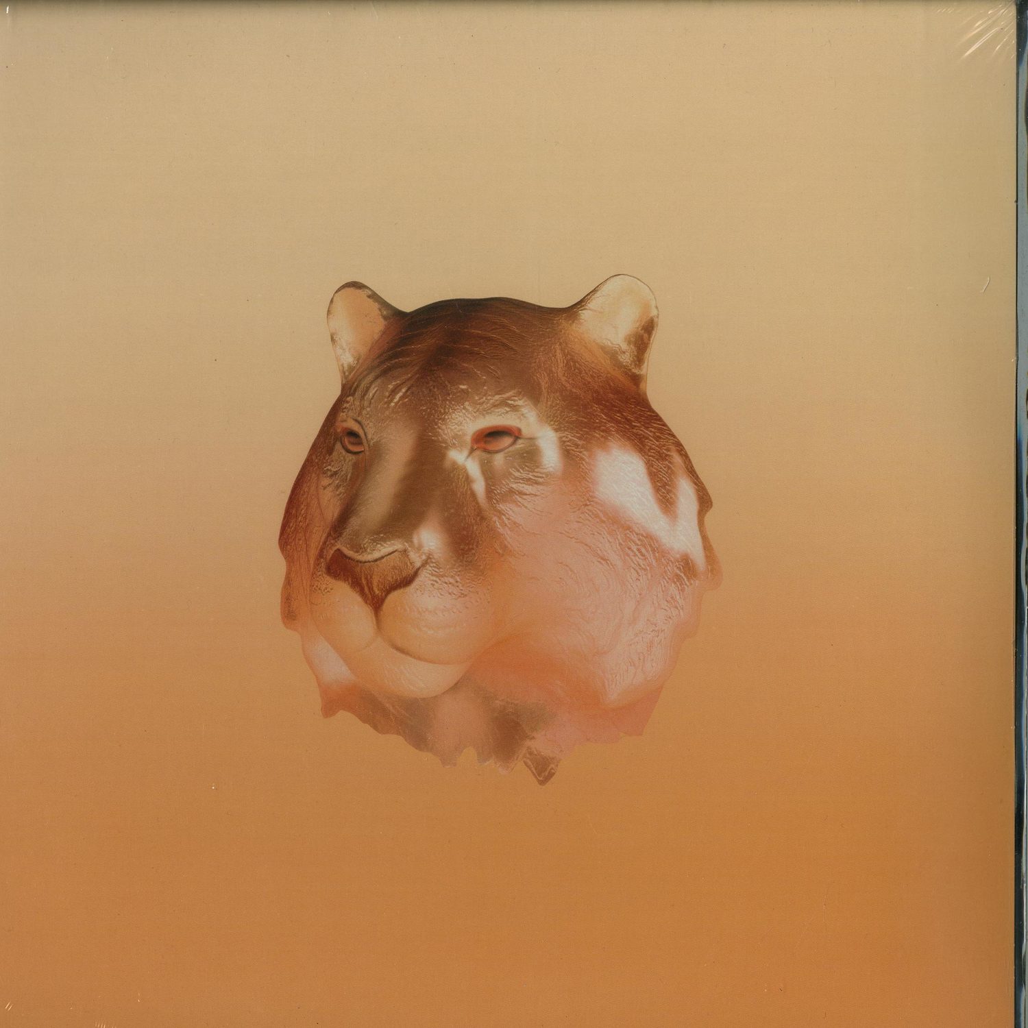 Salen - COPPER KISS